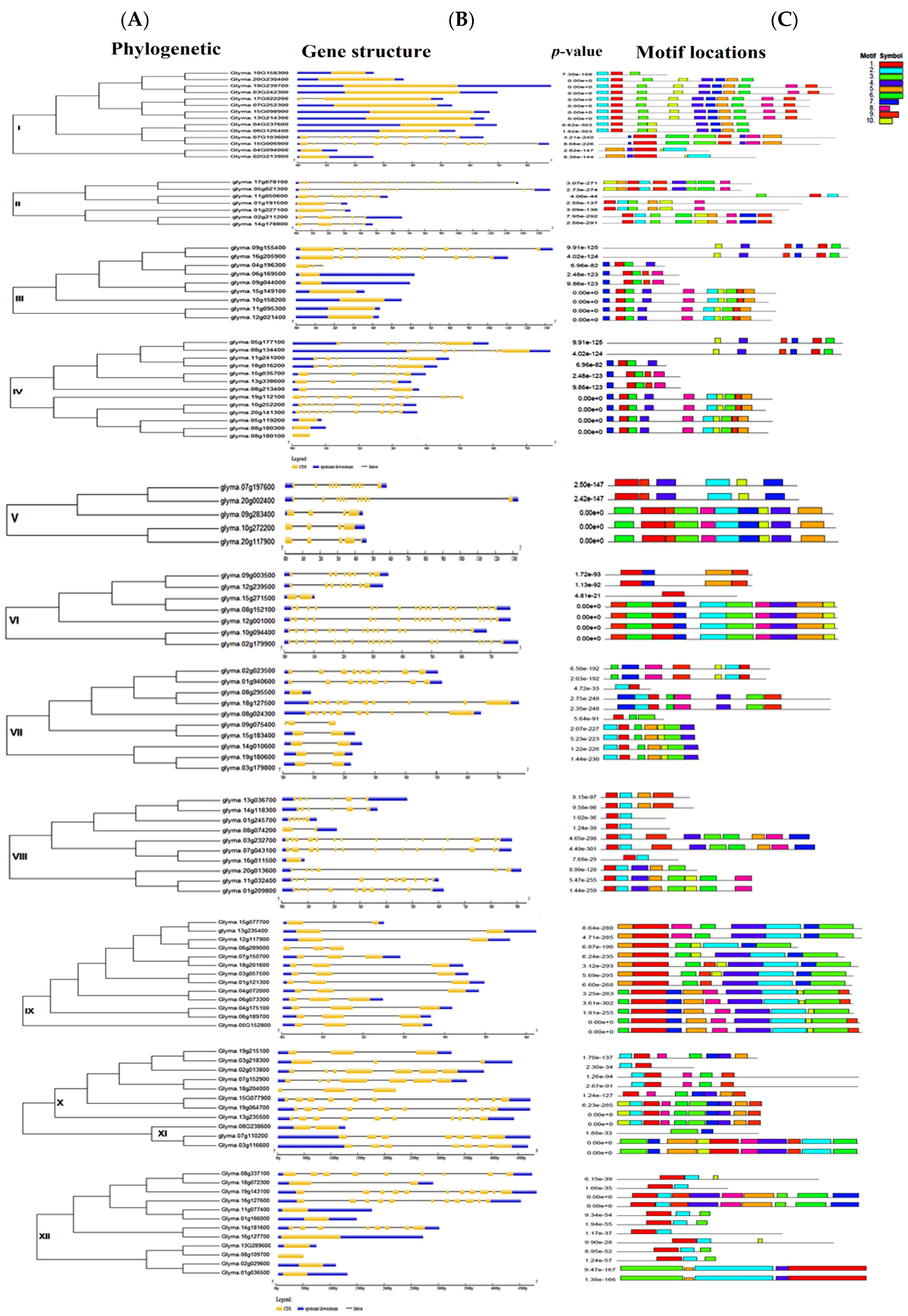 Genes 14 01254 g002