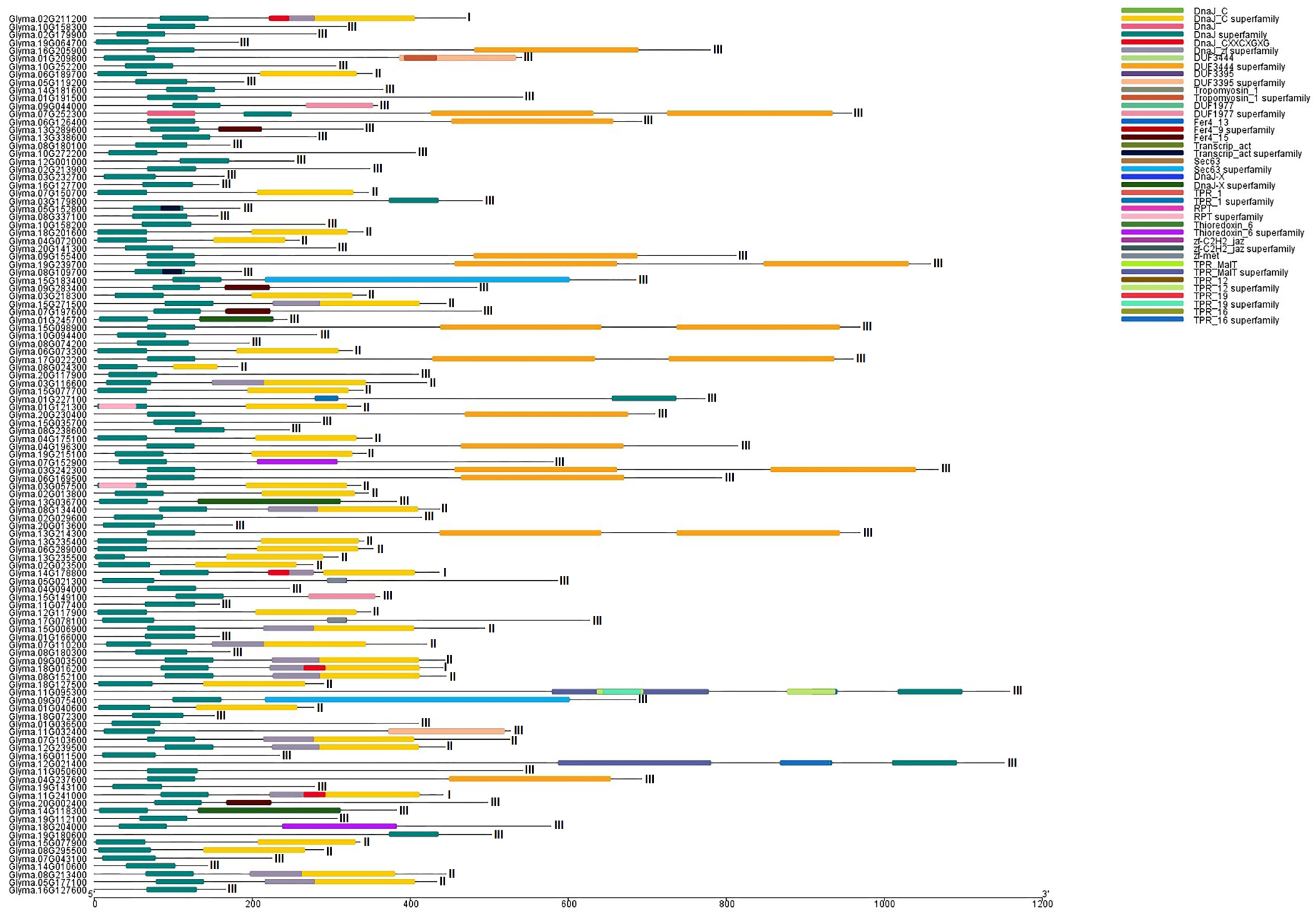 Genes 14 01254 g003