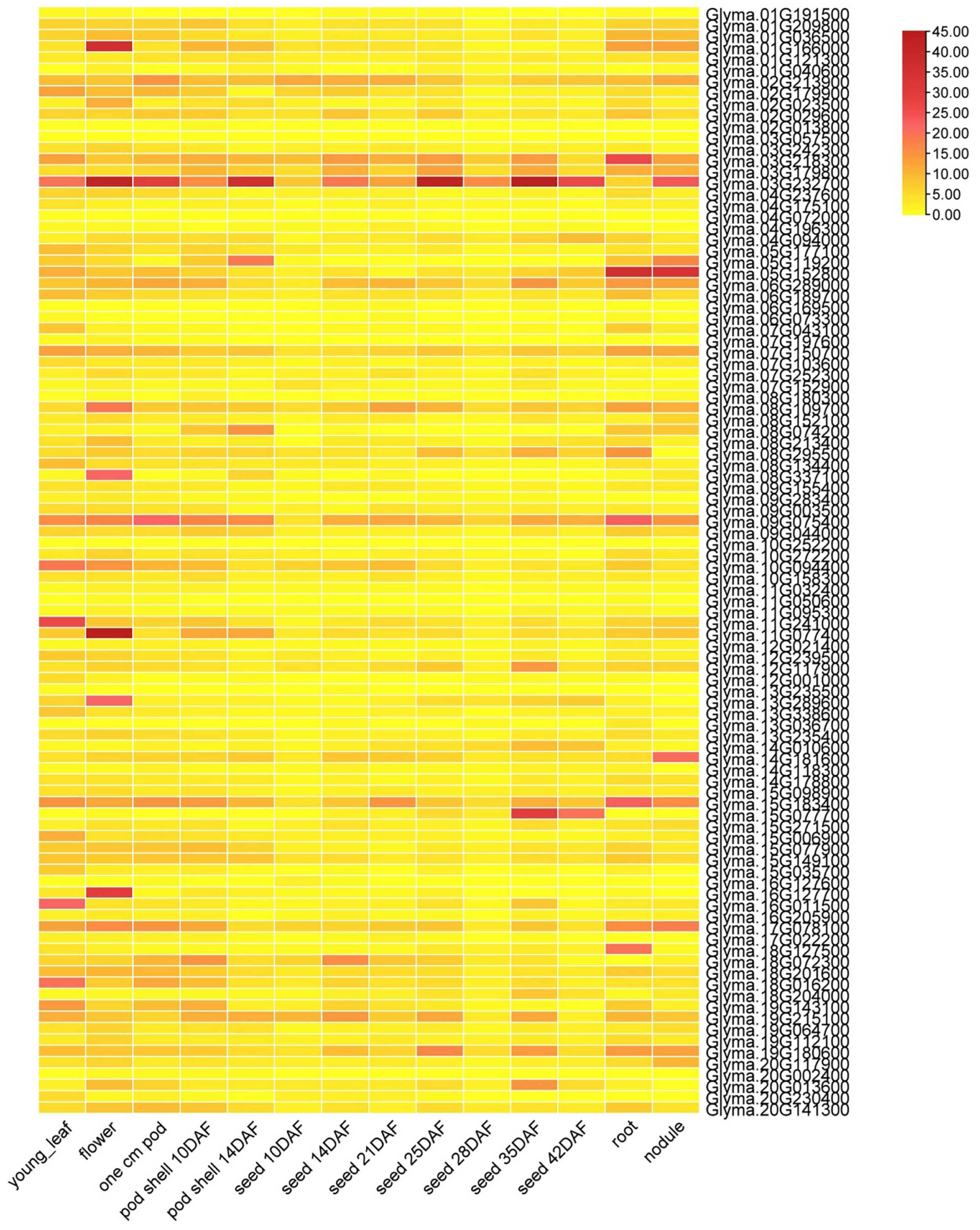 Genes 14 01254 g005