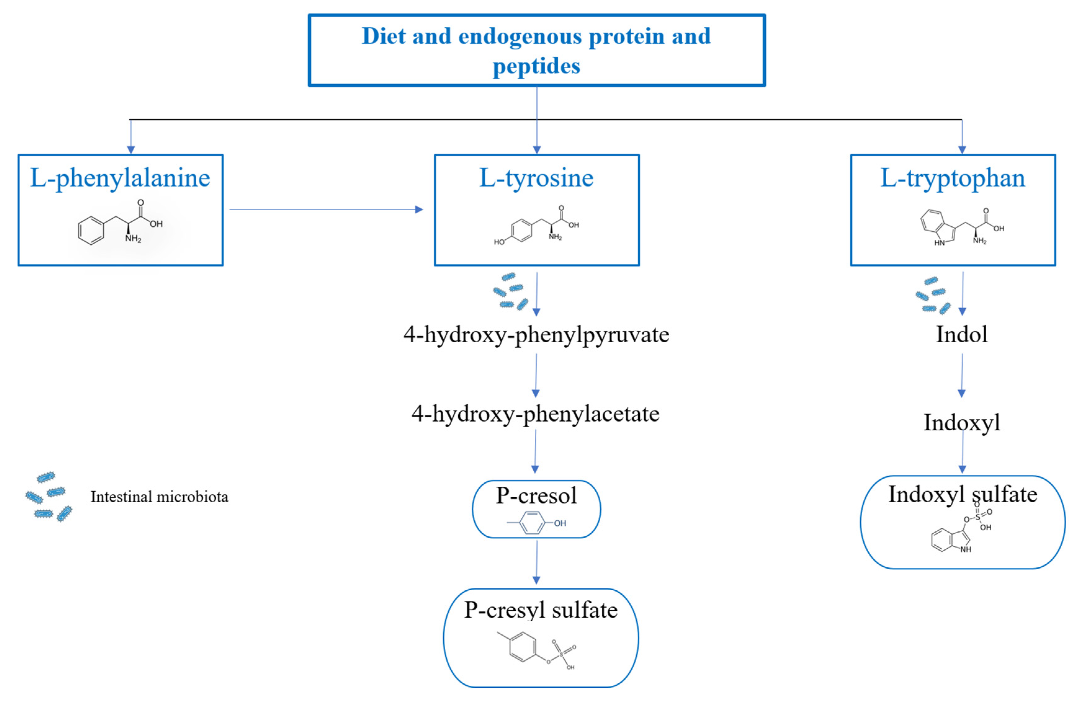Genes 14 01257 g002 Genes 14 01257 g002