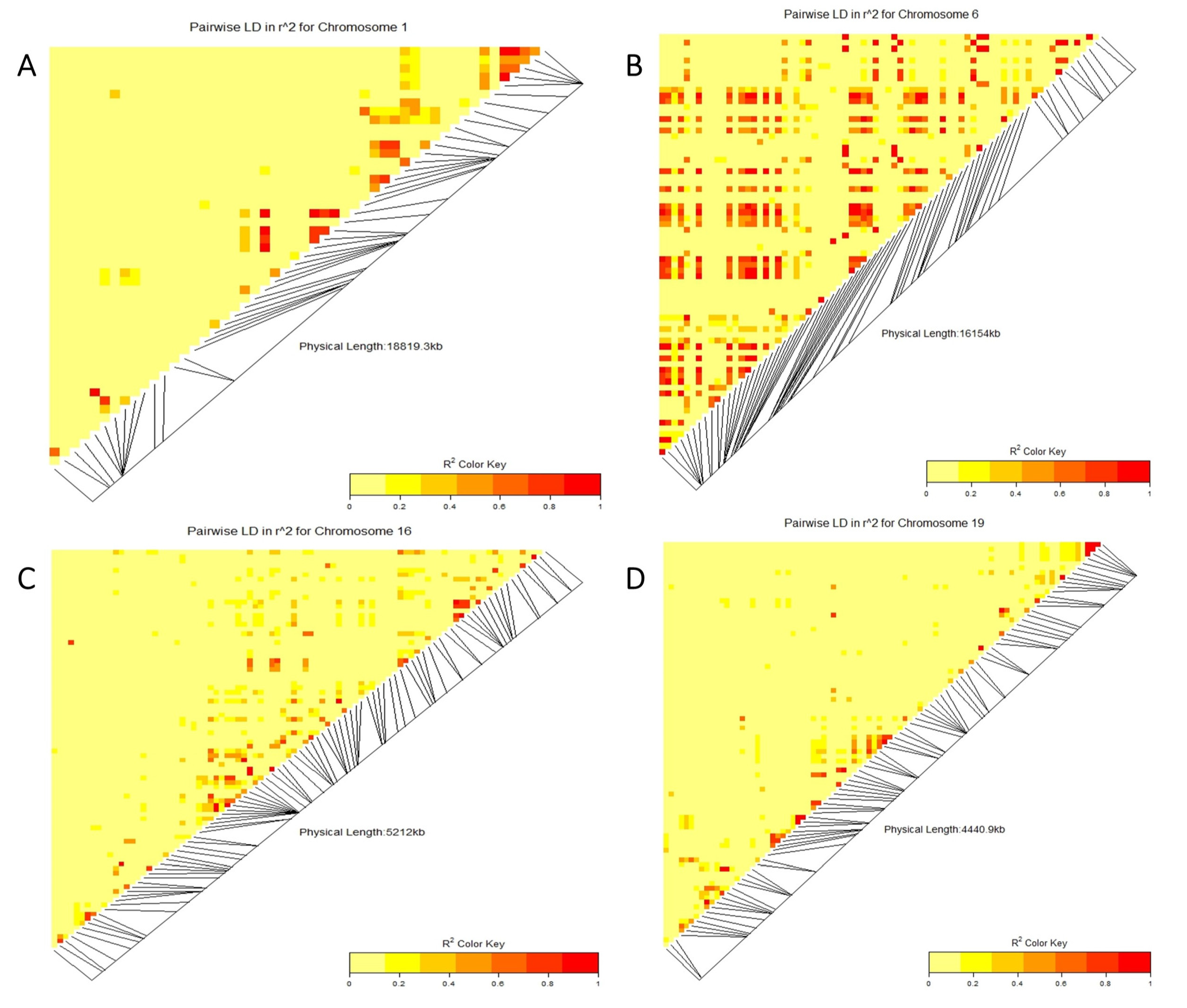 Genes 14 01271 g005 Genes 14 01271 g005