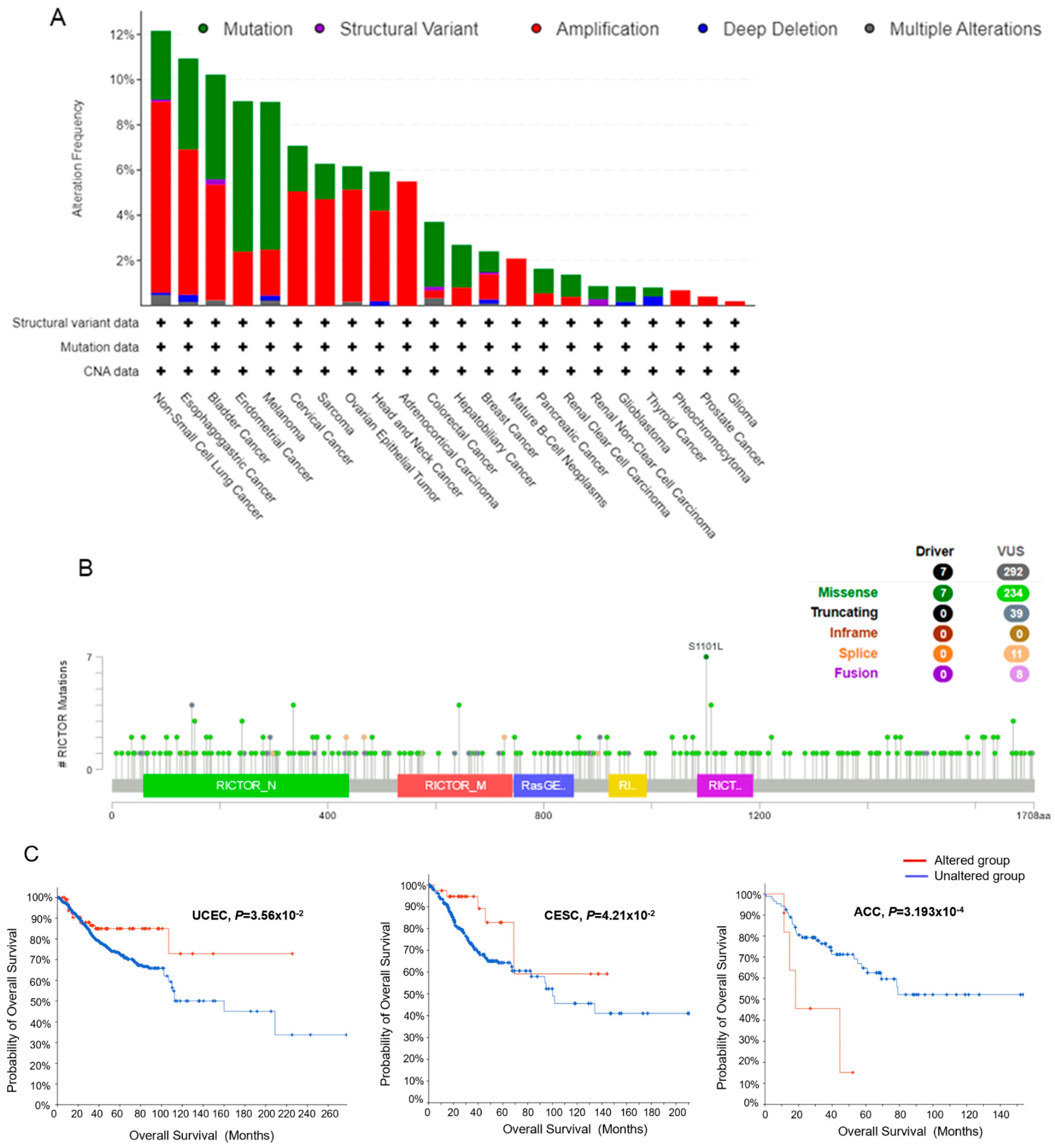 Genes 14 01280 g003a