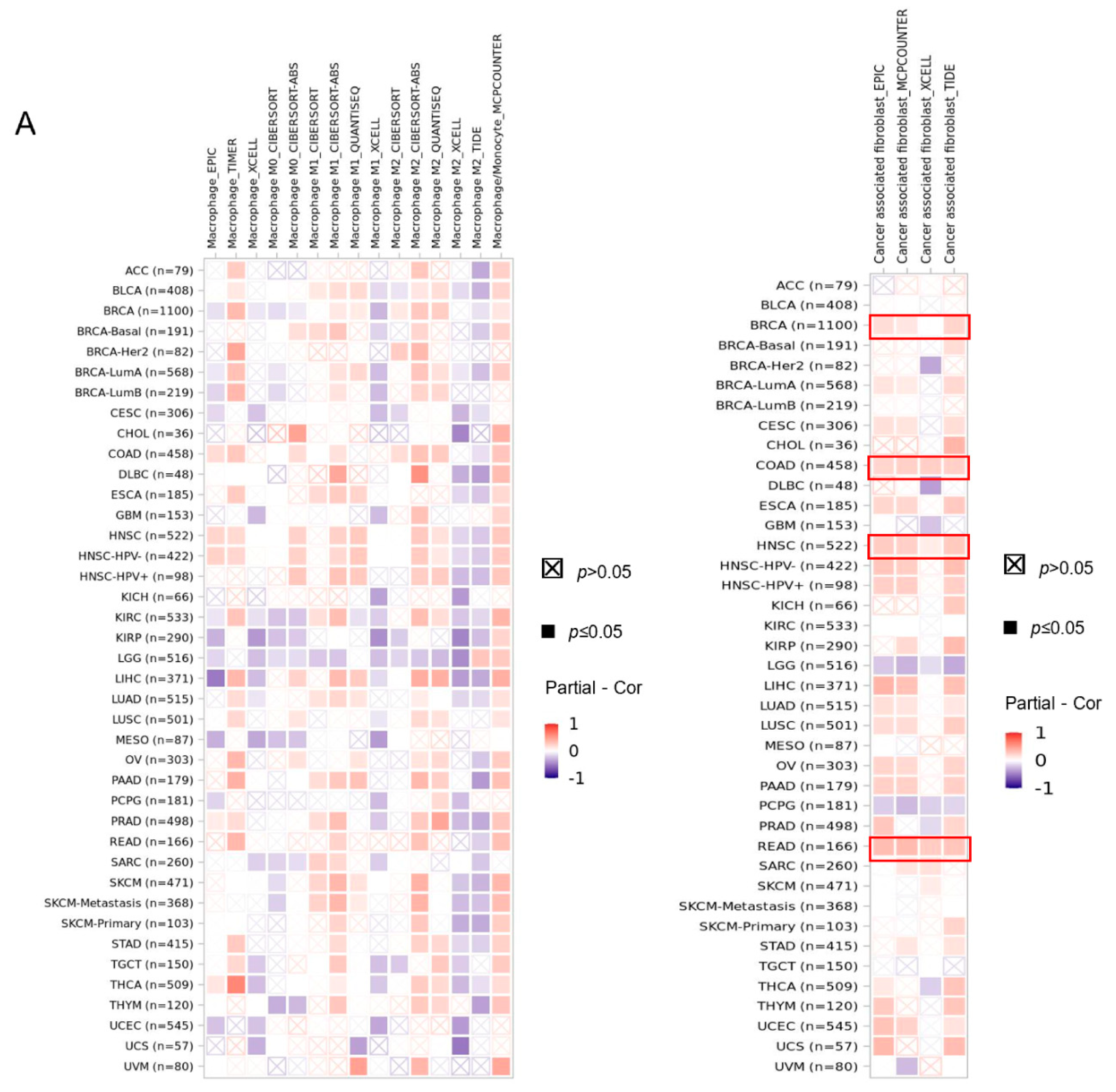 Genes 14 01280 g006a