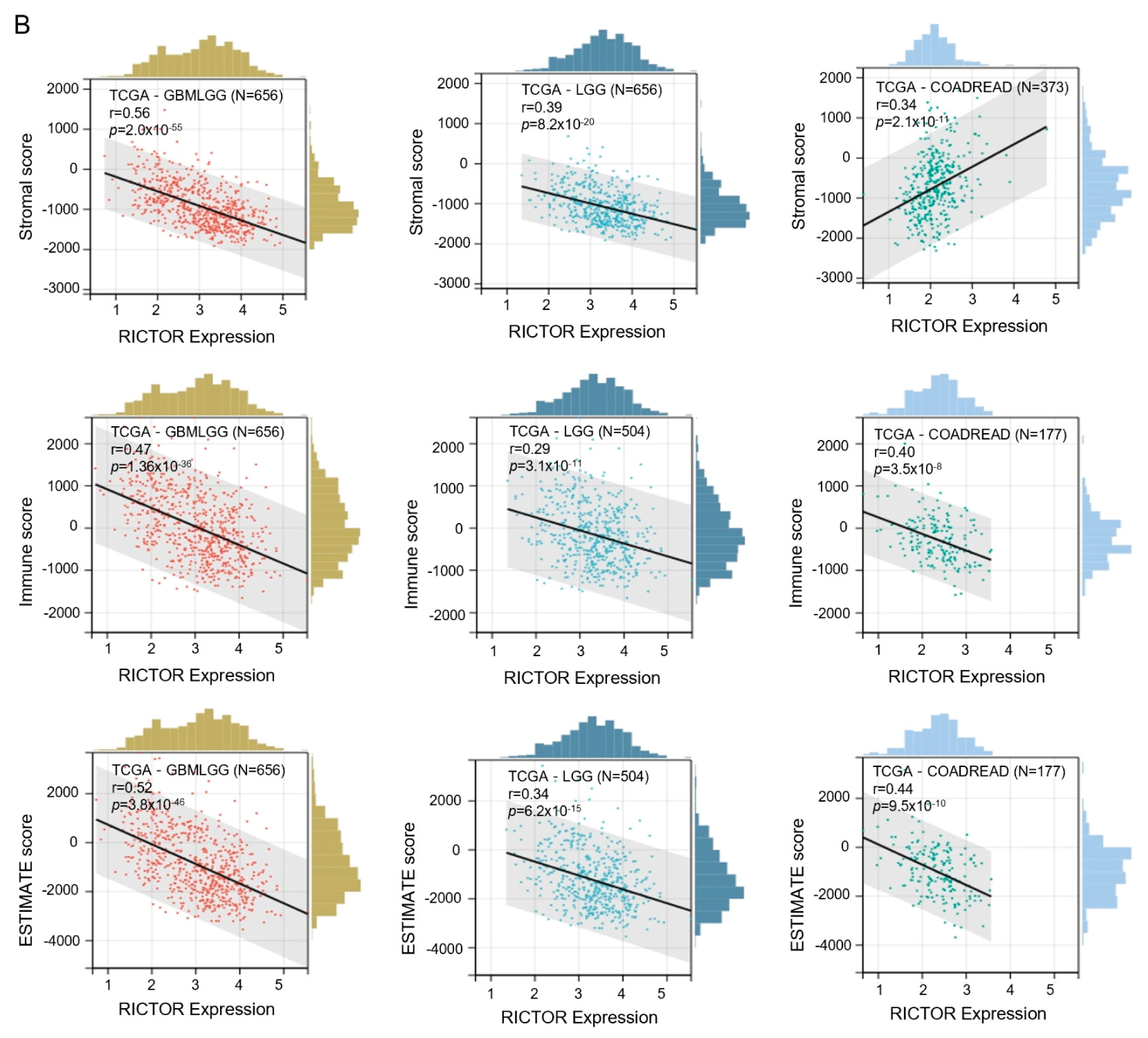 Genes 14 01280 g006b