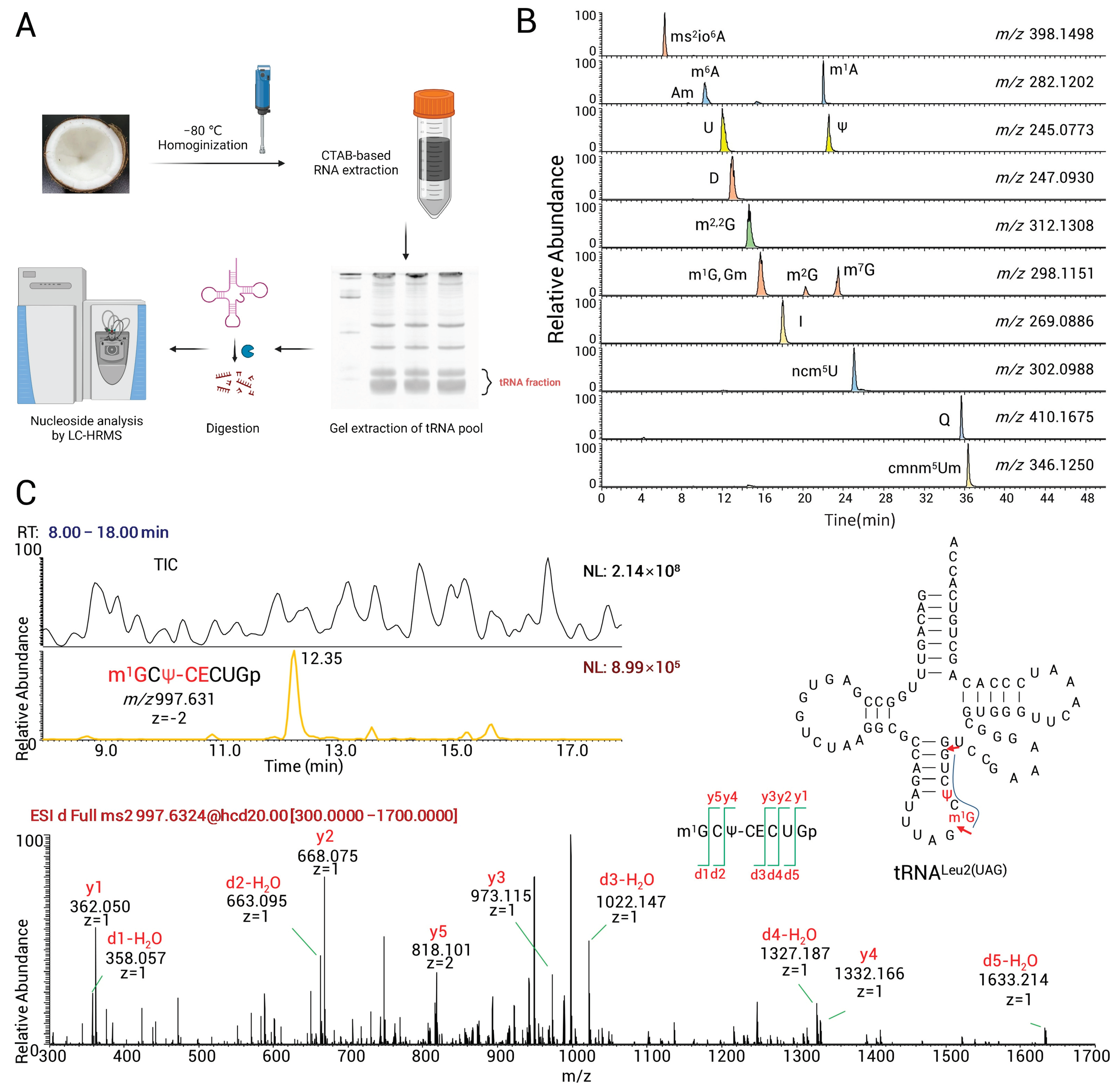 Genes 14 01287 g001 Genes 14 01287 g001