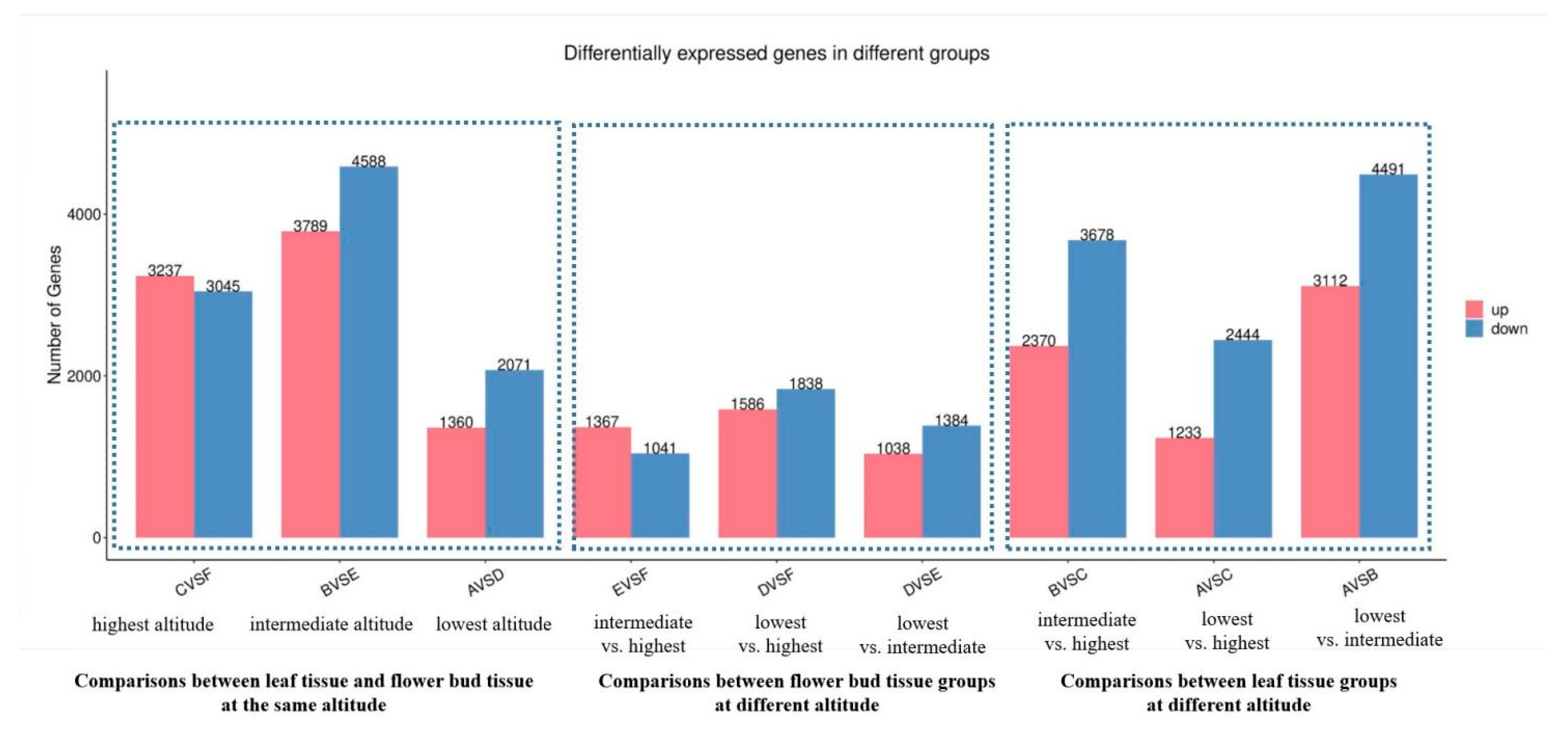 Genes 14 01291 g002