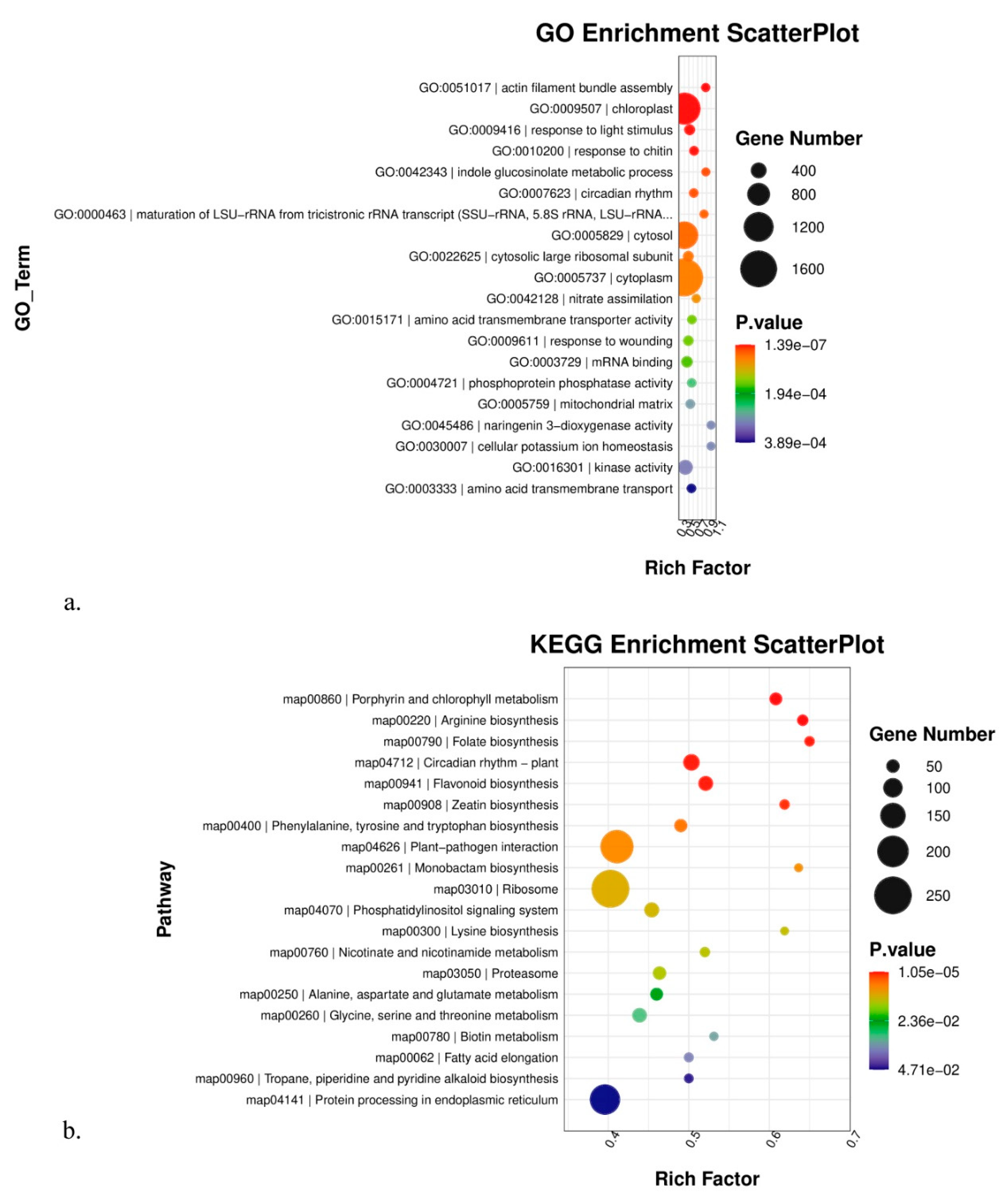 Genes 14 01291 g003