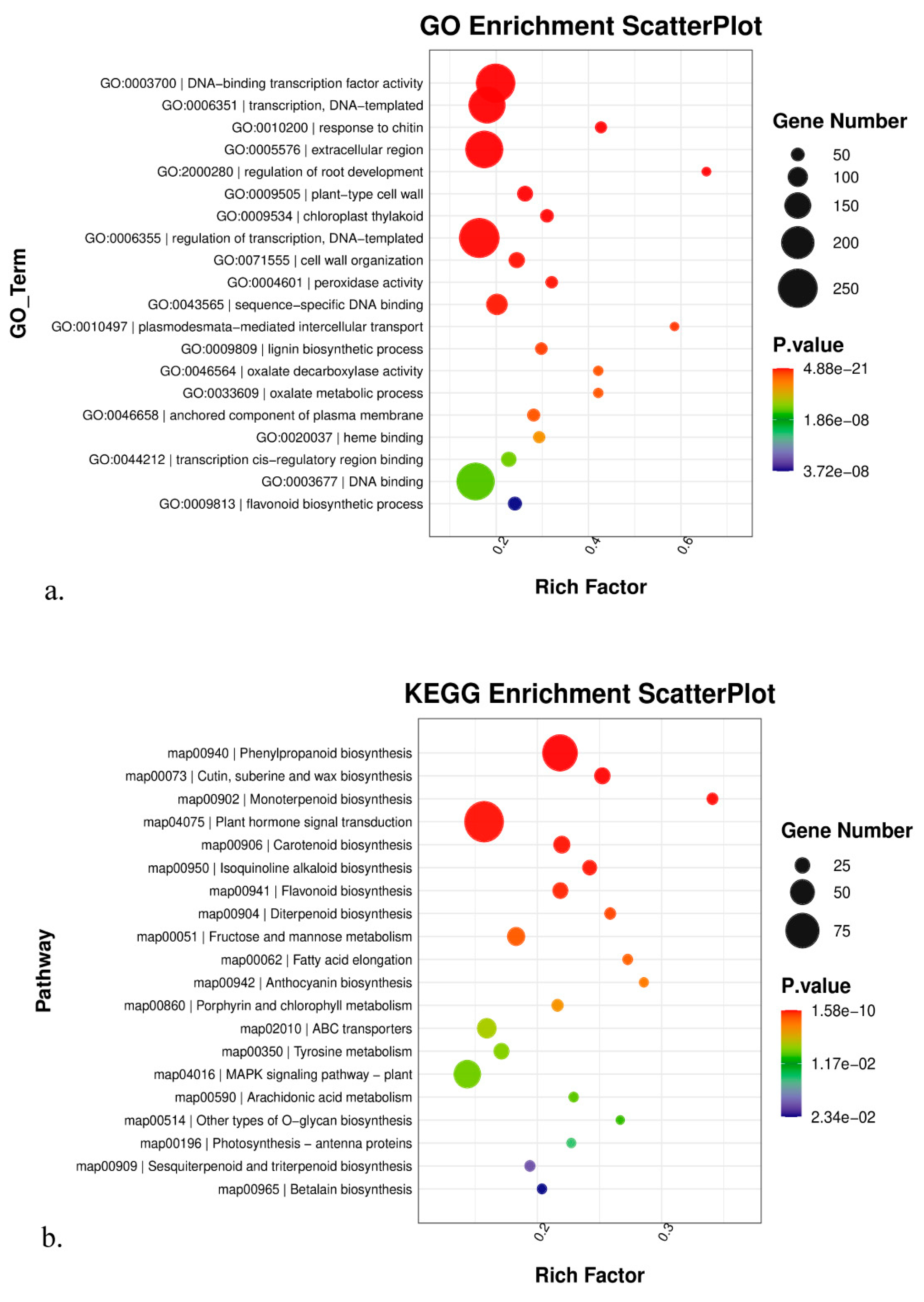 Genes 14 01291 g004