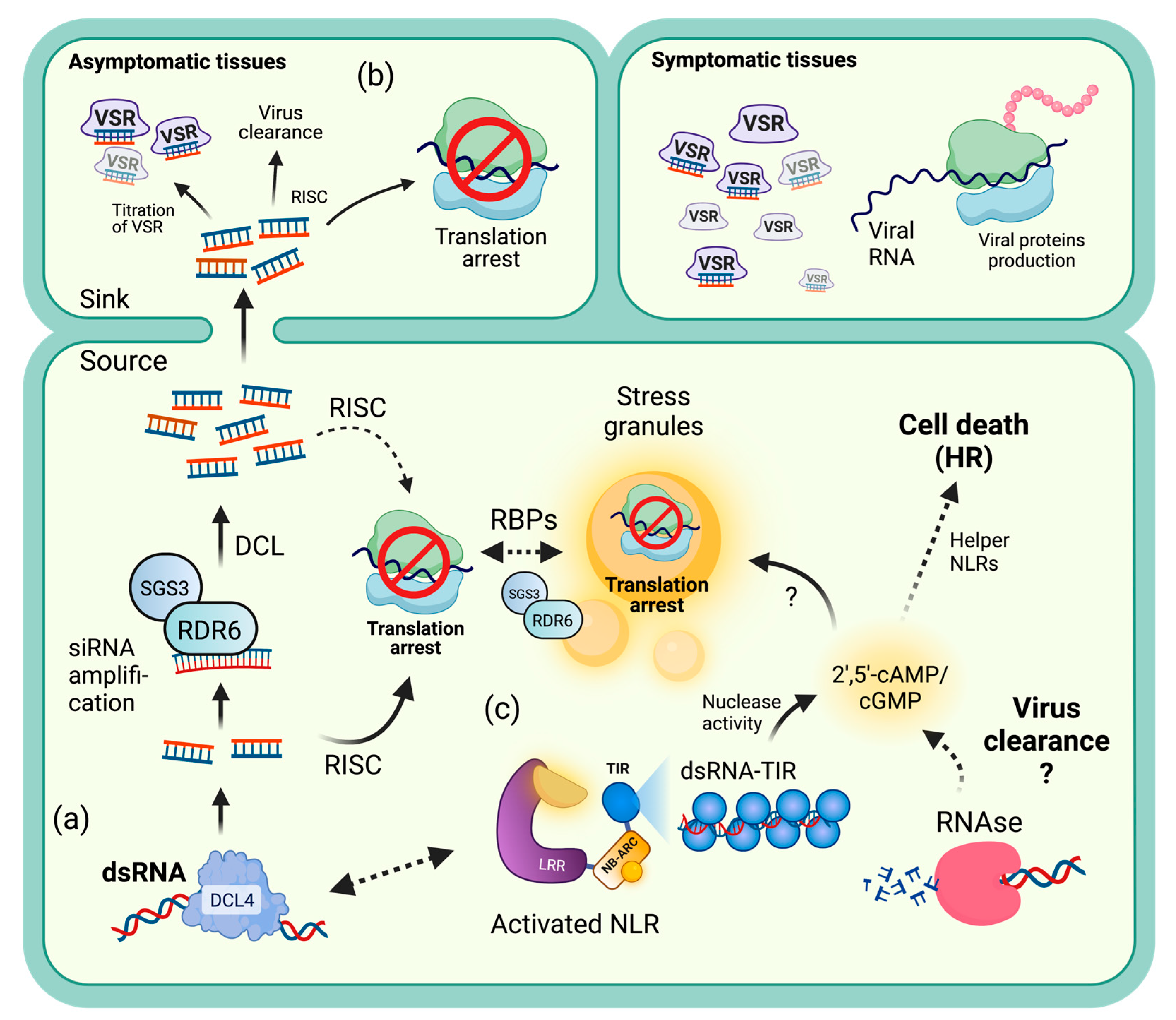 Genes 14 01293 g002 Genes 14 01293 g002