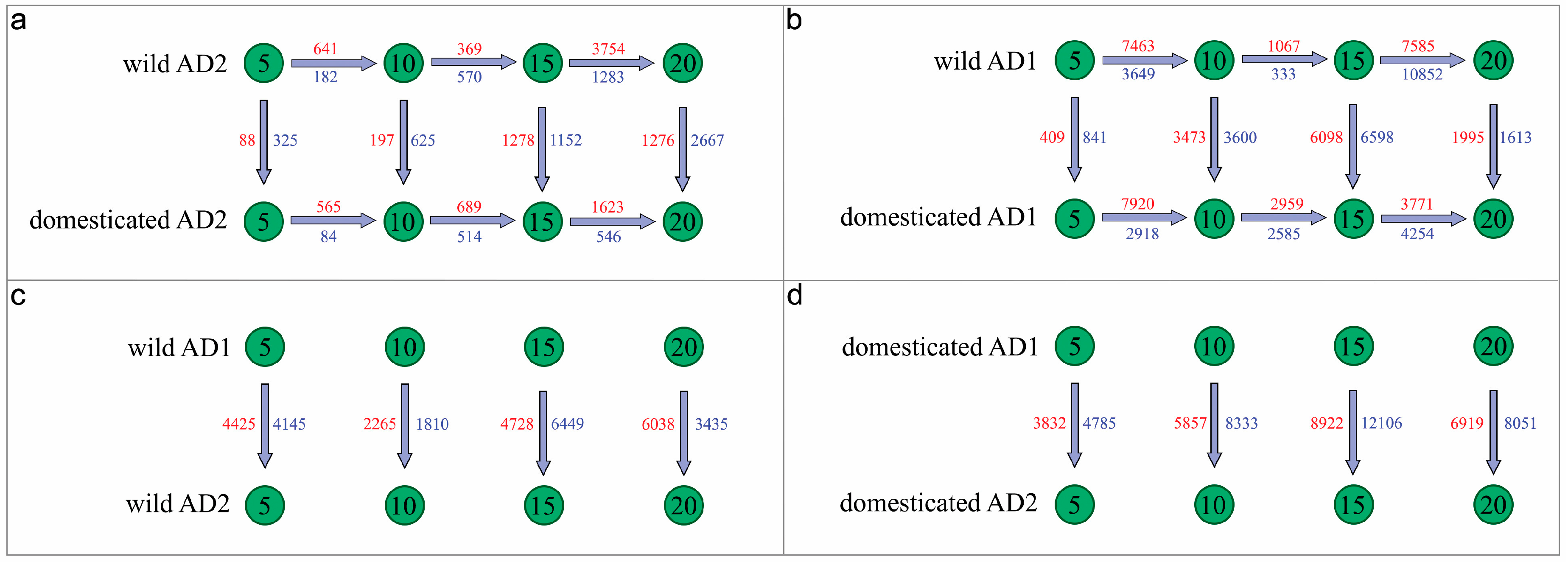 Genes 14 01301 g001