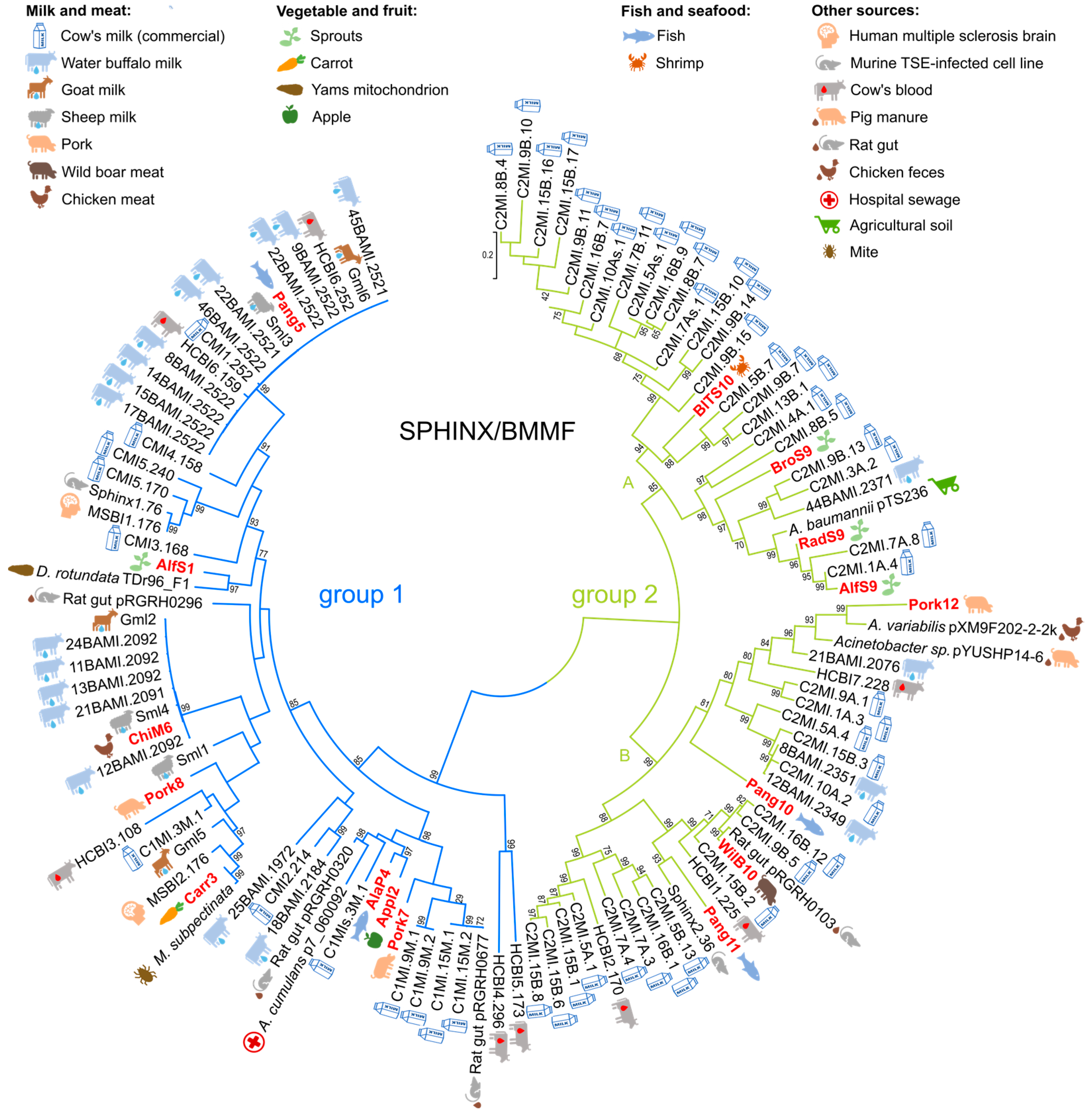 Genes 14 01307 g001 Genes 14 01307 g001