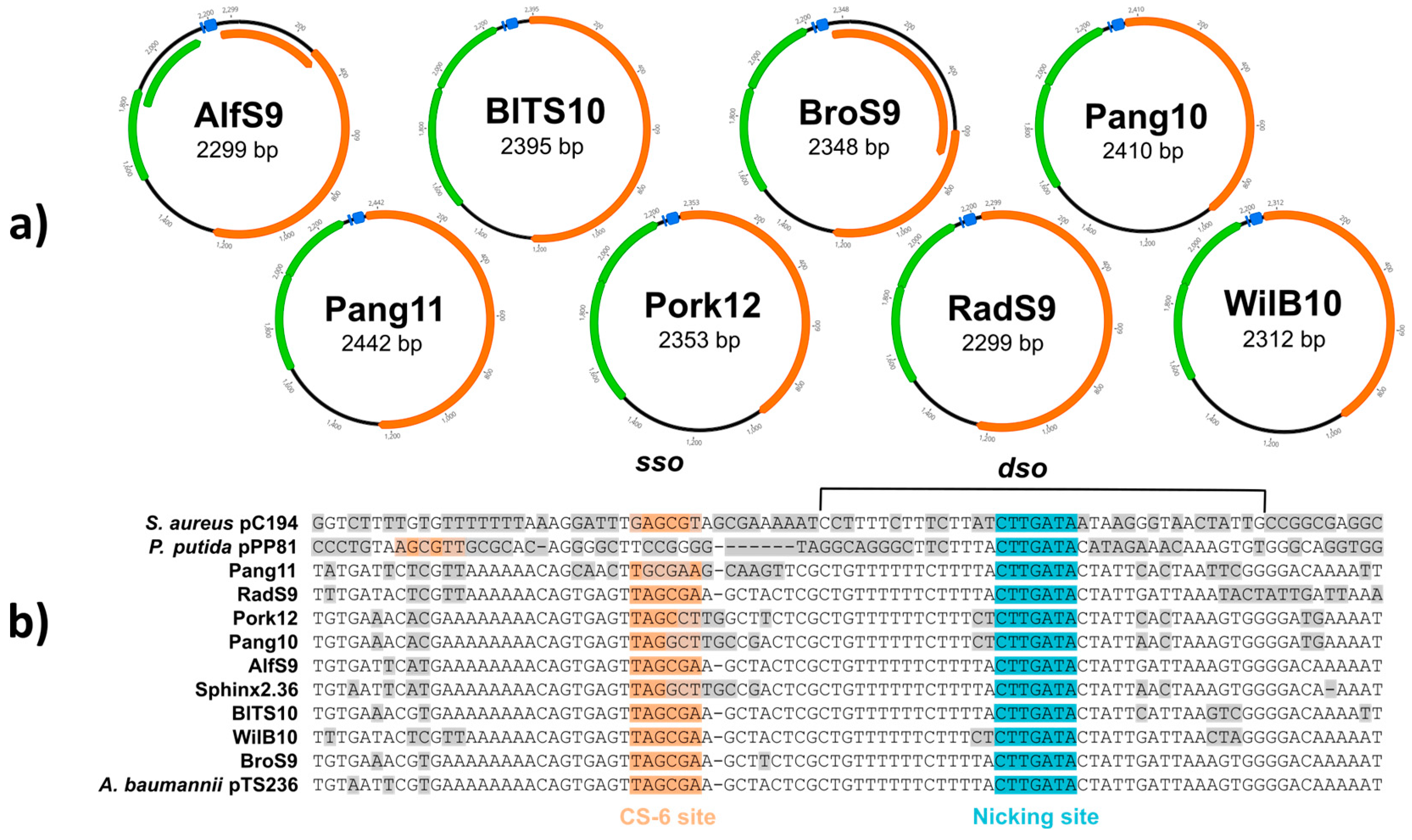 Genes 14 01307 g003 Genes 14 01307 g003