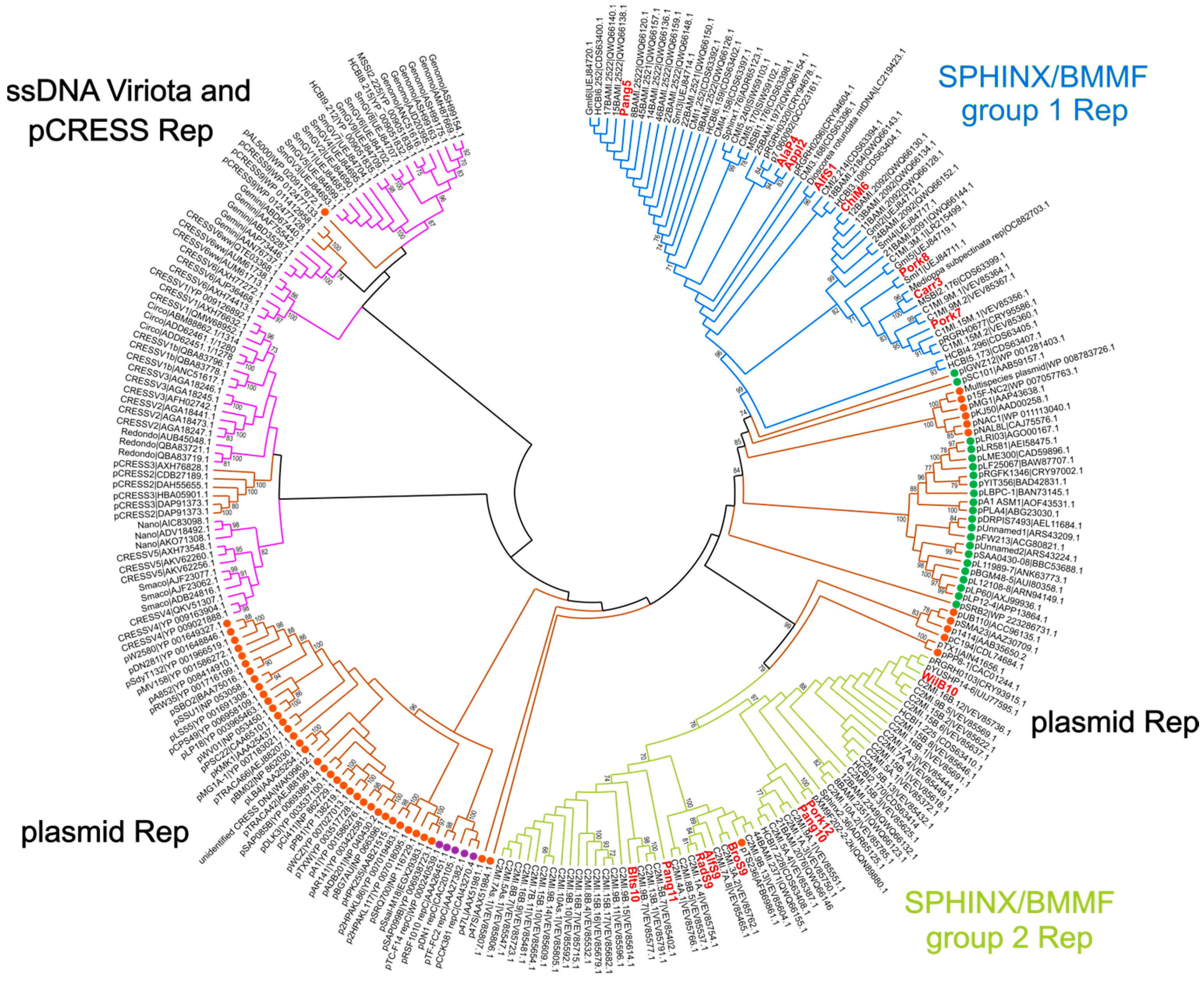 Genes 14 01307 g004 Genes 14 01307 g004