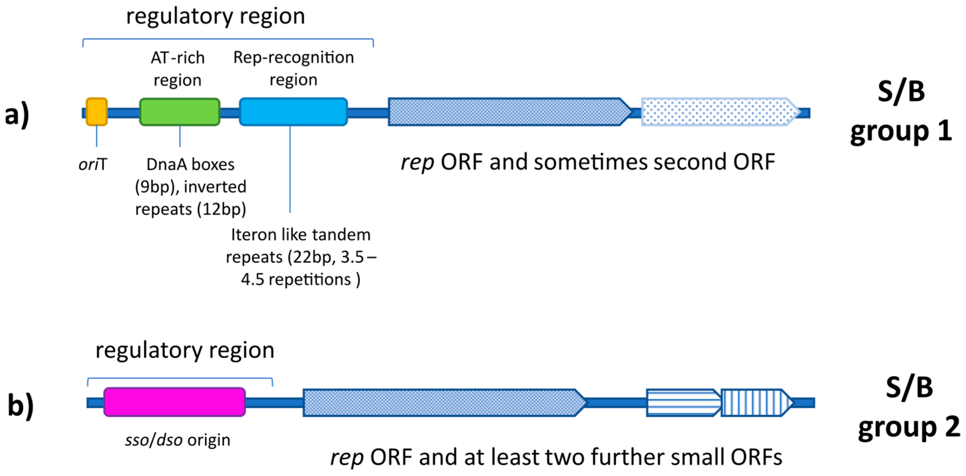 Genes 14 01307 g005 Genes 14 01307 g005