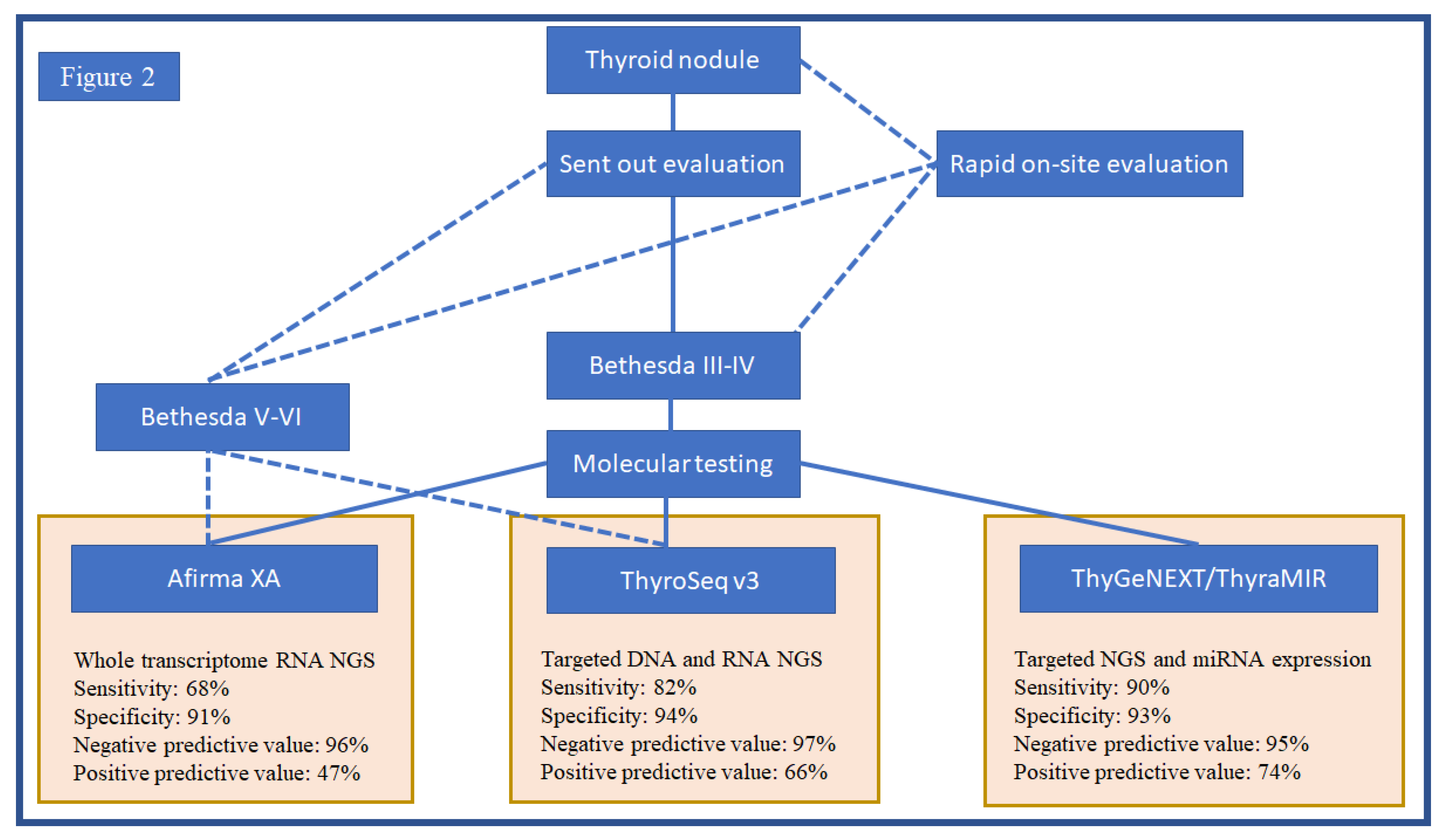Genes 14 01314 g002