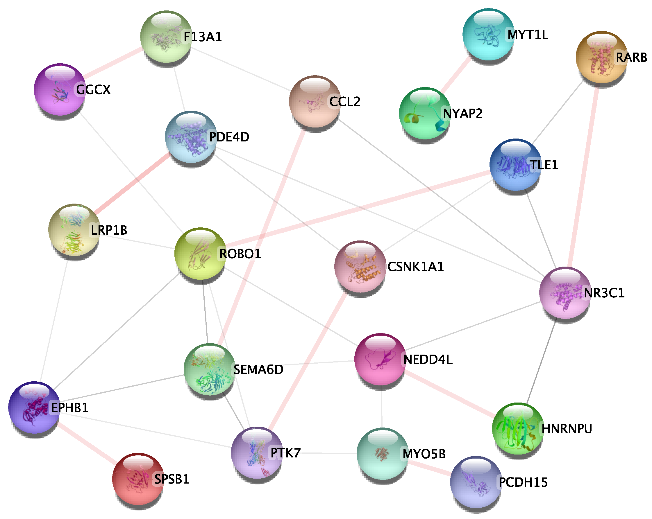 Genes 14 01322 g005 Genes 14 01322 g005