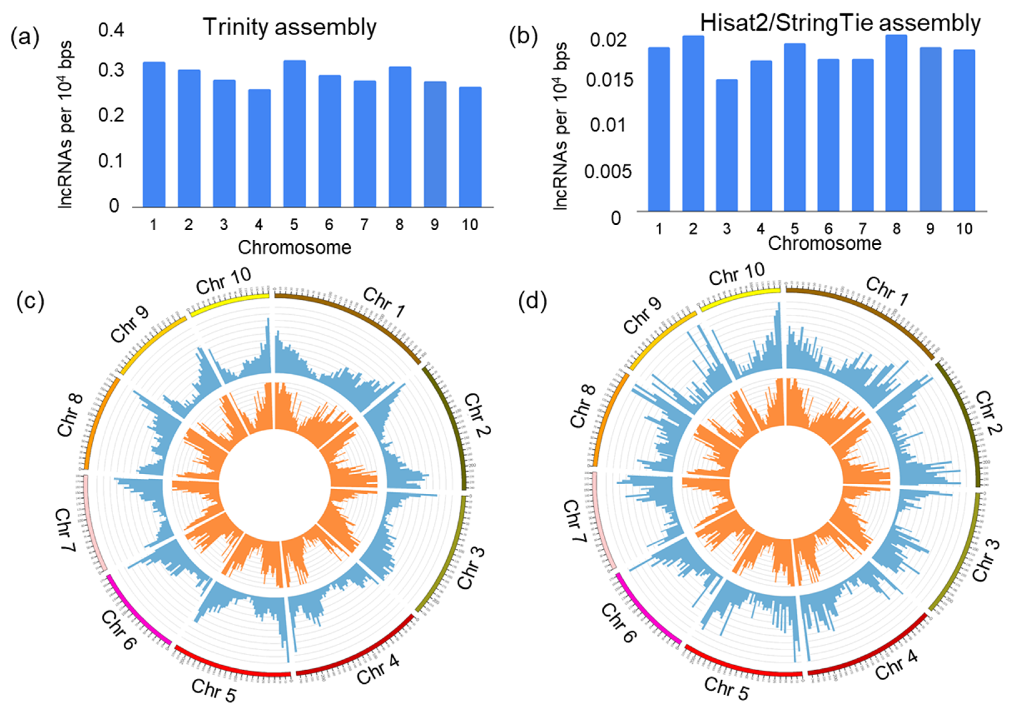 Genes 14 01331 g003 Genes 14 01331 g003