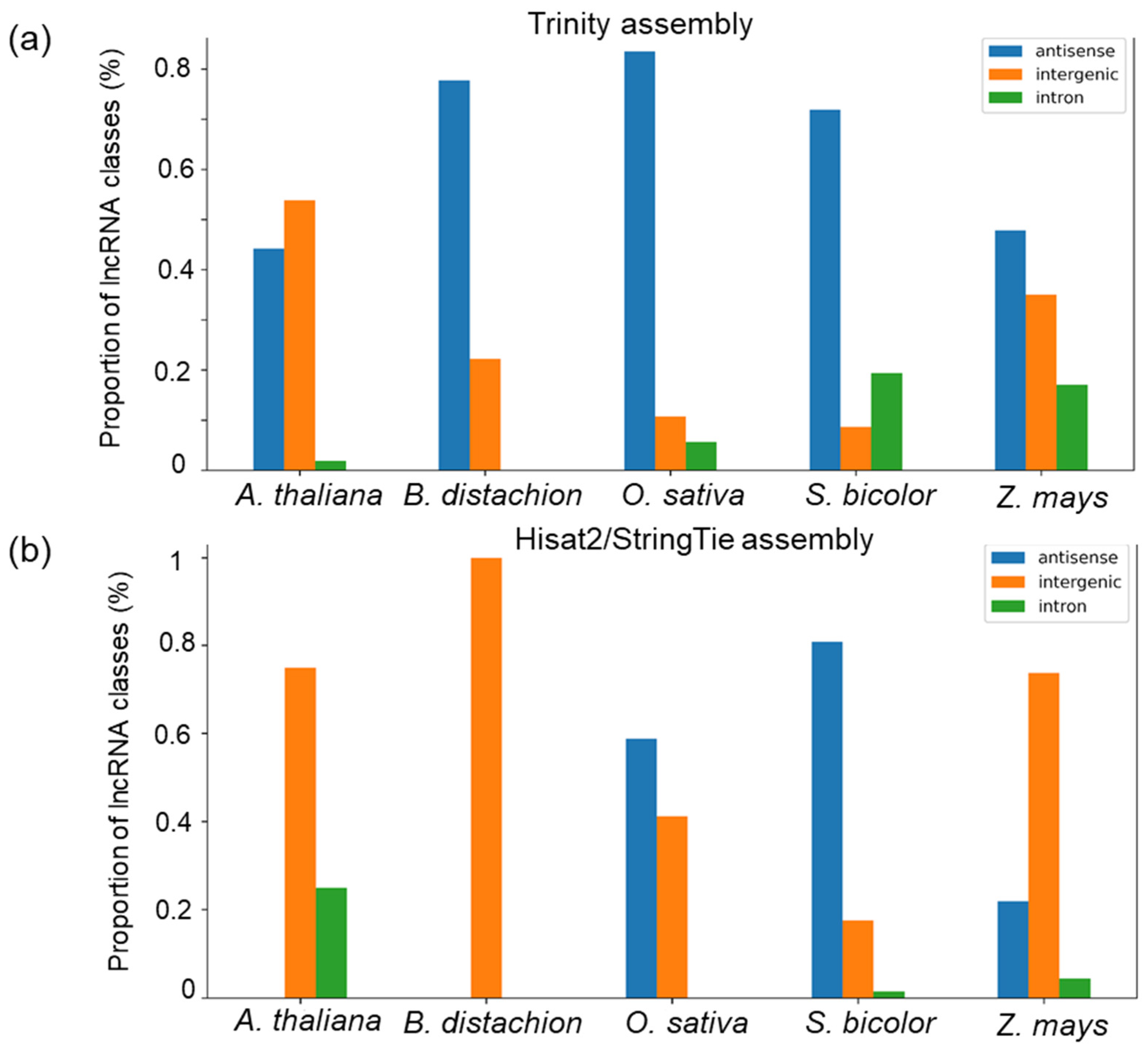 Genes 14 01331 g006 Genes 14 01331 g006