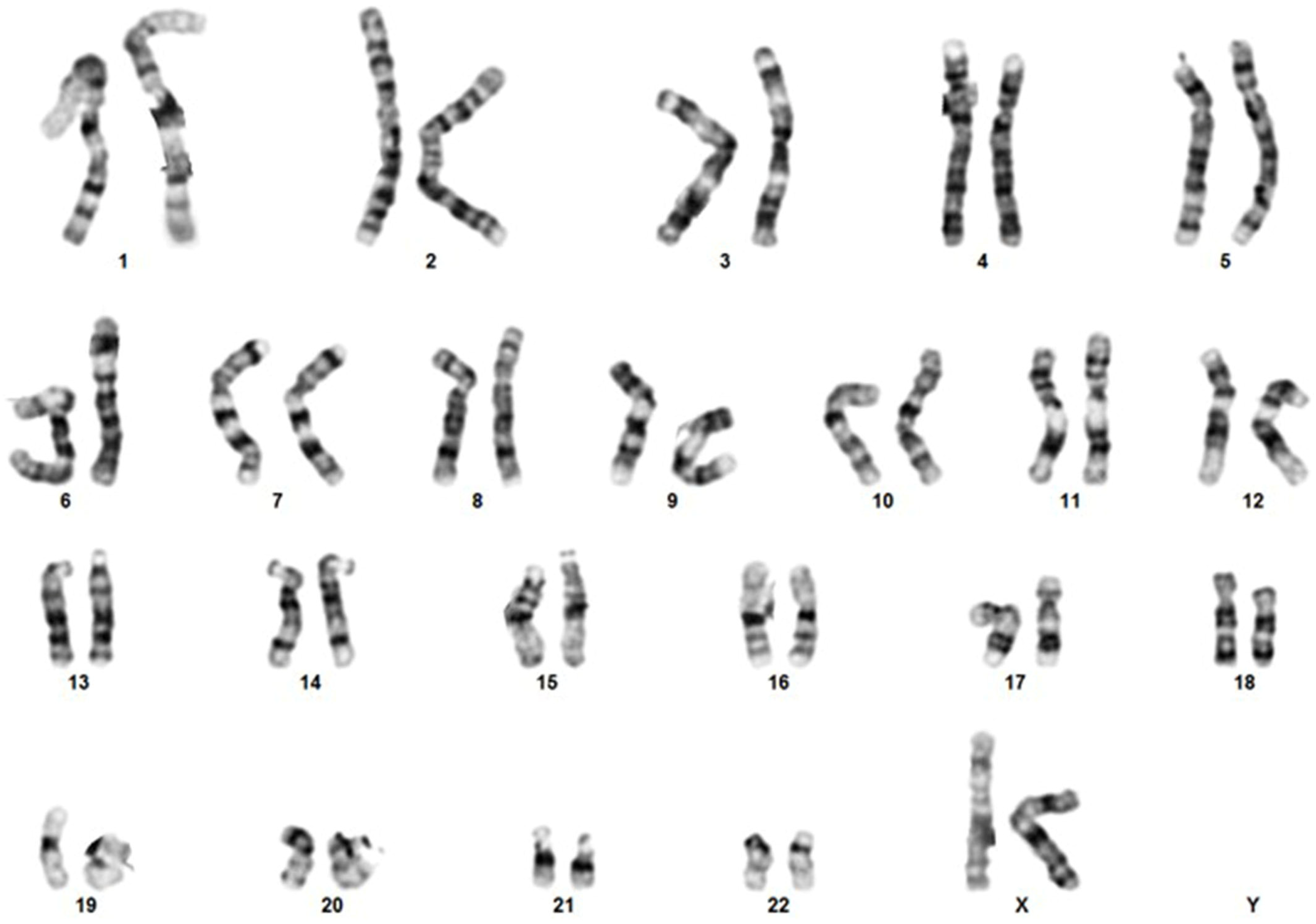 Genes 14 01333 g002 Genes 14 01333 g002