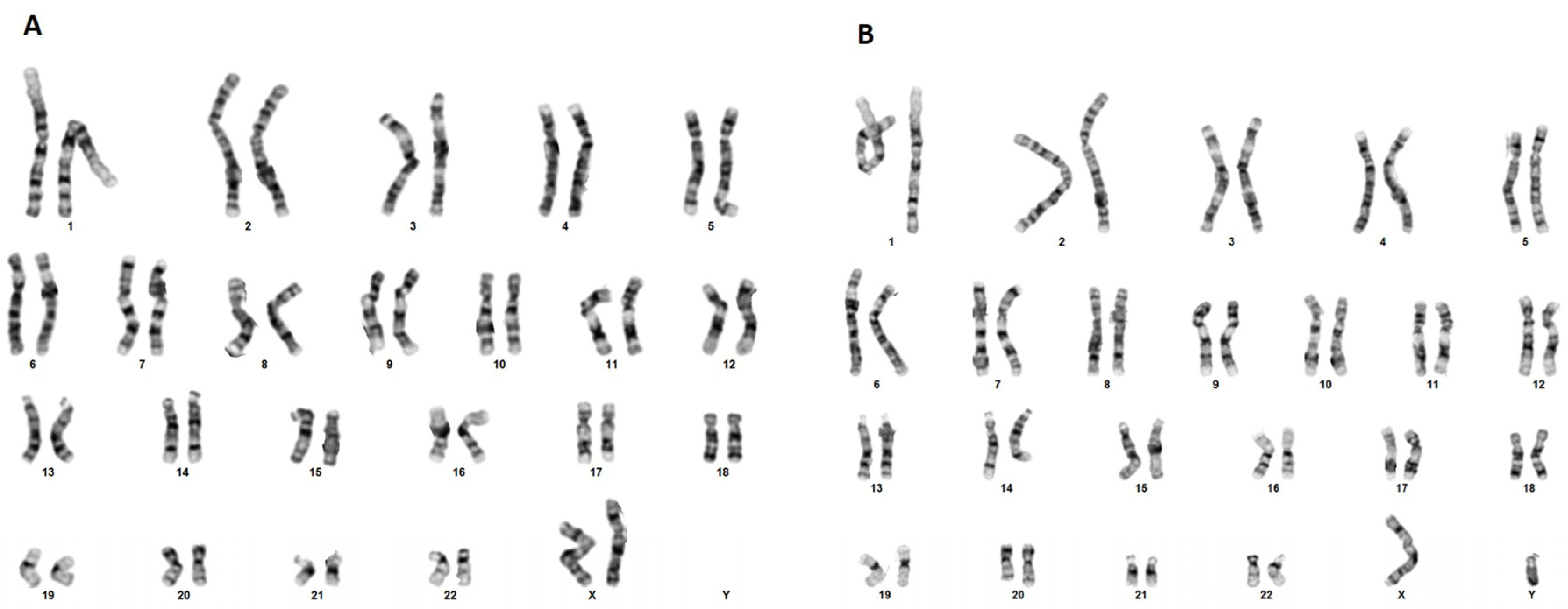 Genes 14 01333 g005 Genes 14 01333 g005