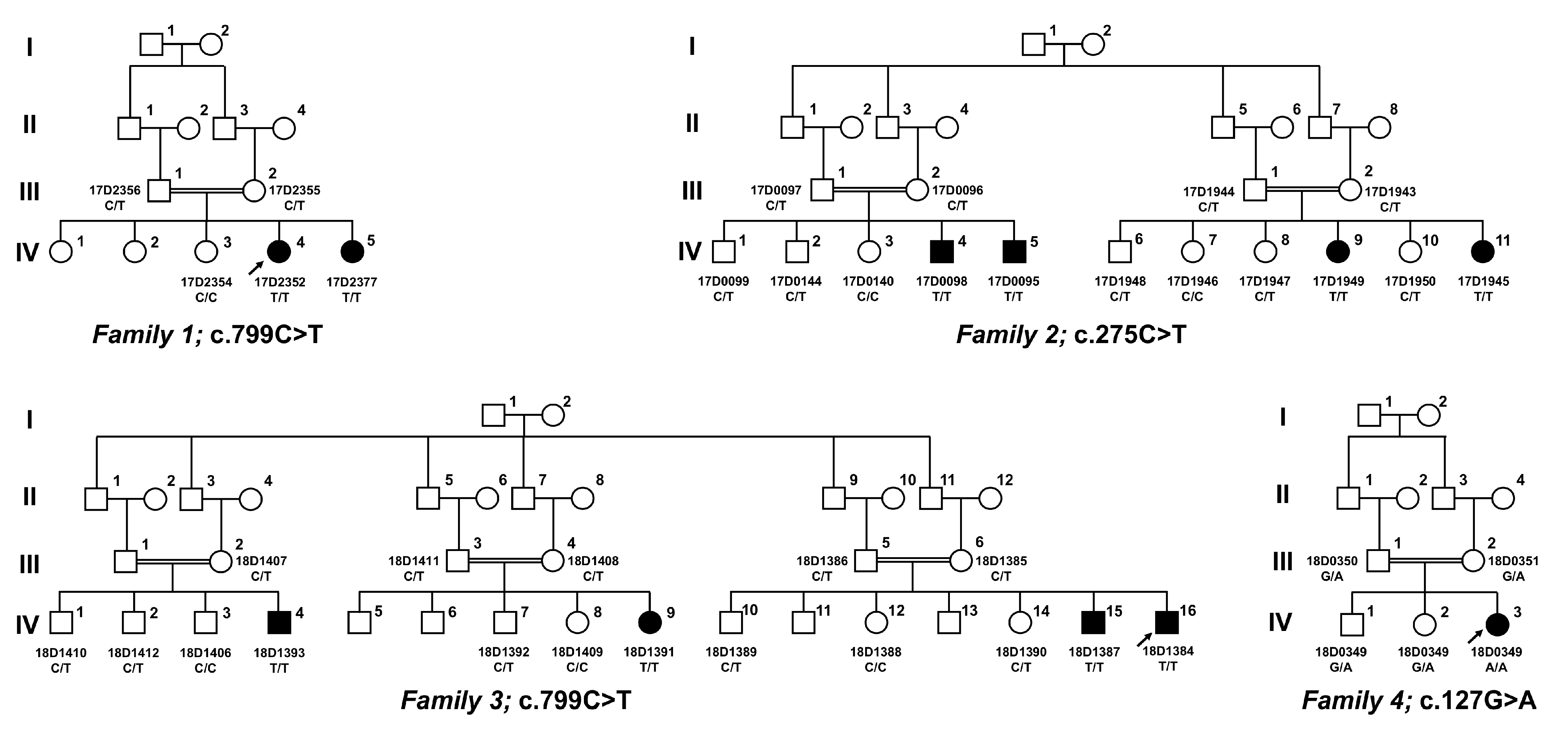 Genes 14 01359 g001 Genes 14 01359 g001