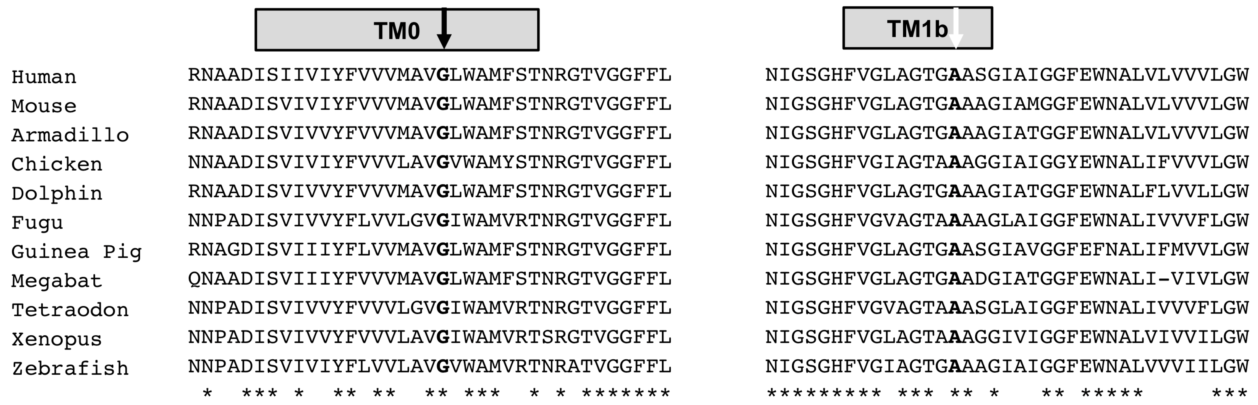 Genes 14 01359 g002 Genes 14 01359 g002