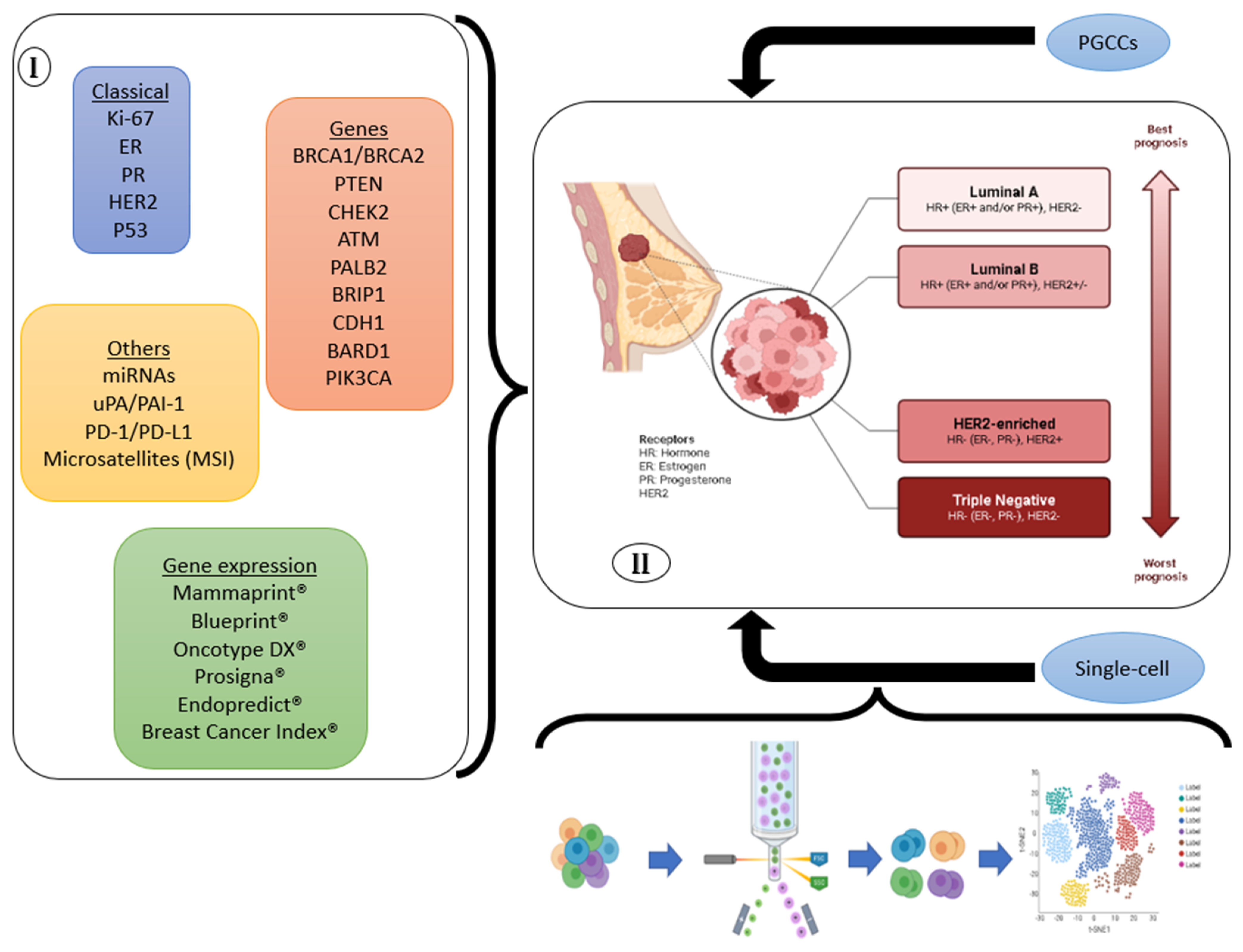 Genes 14 01364 g002