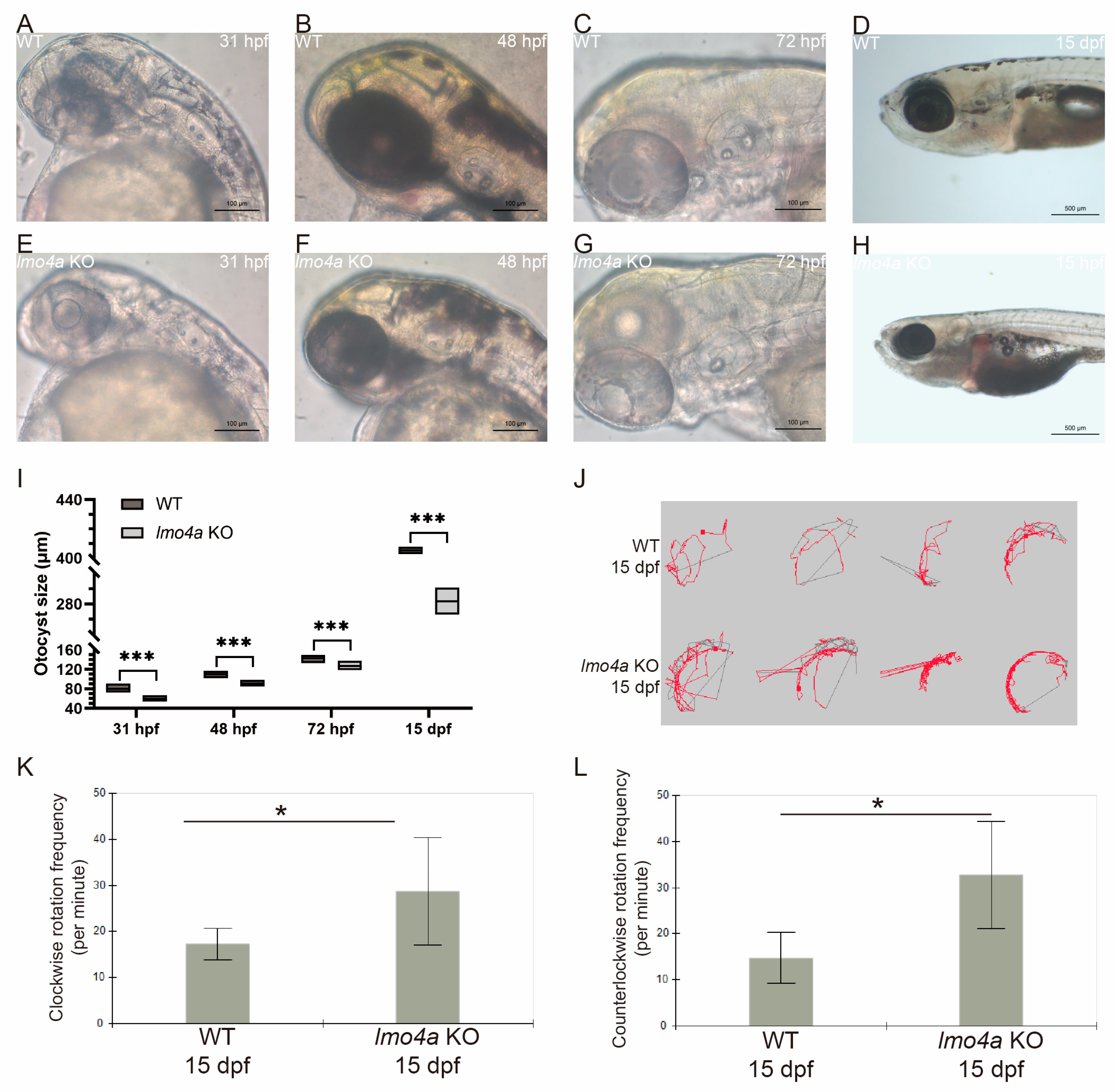 Genes 14 01371 g004