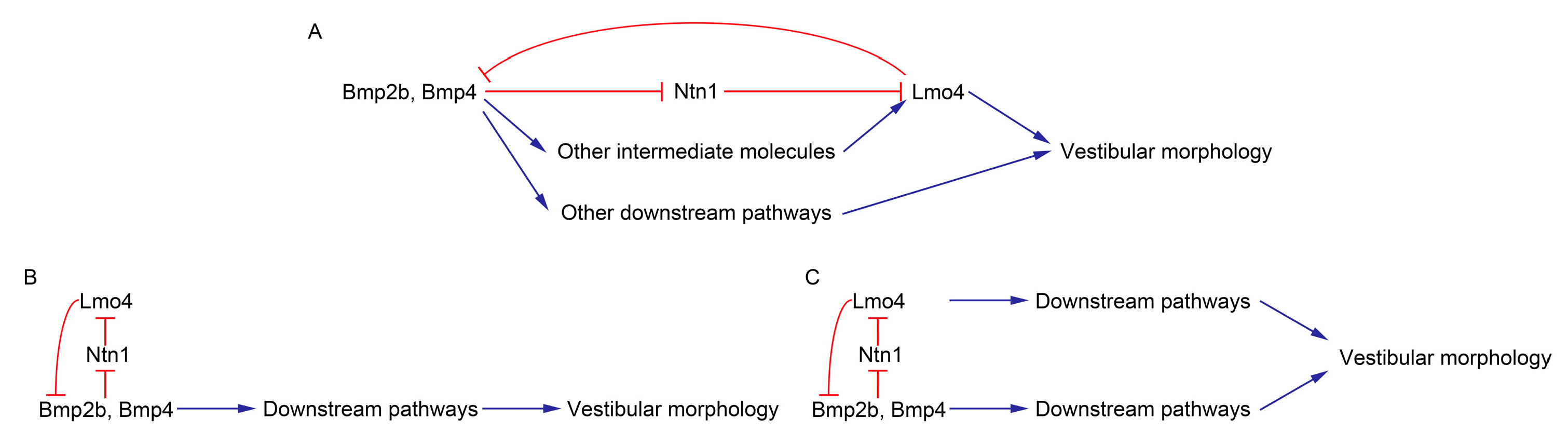 Genes 14 01371 g006