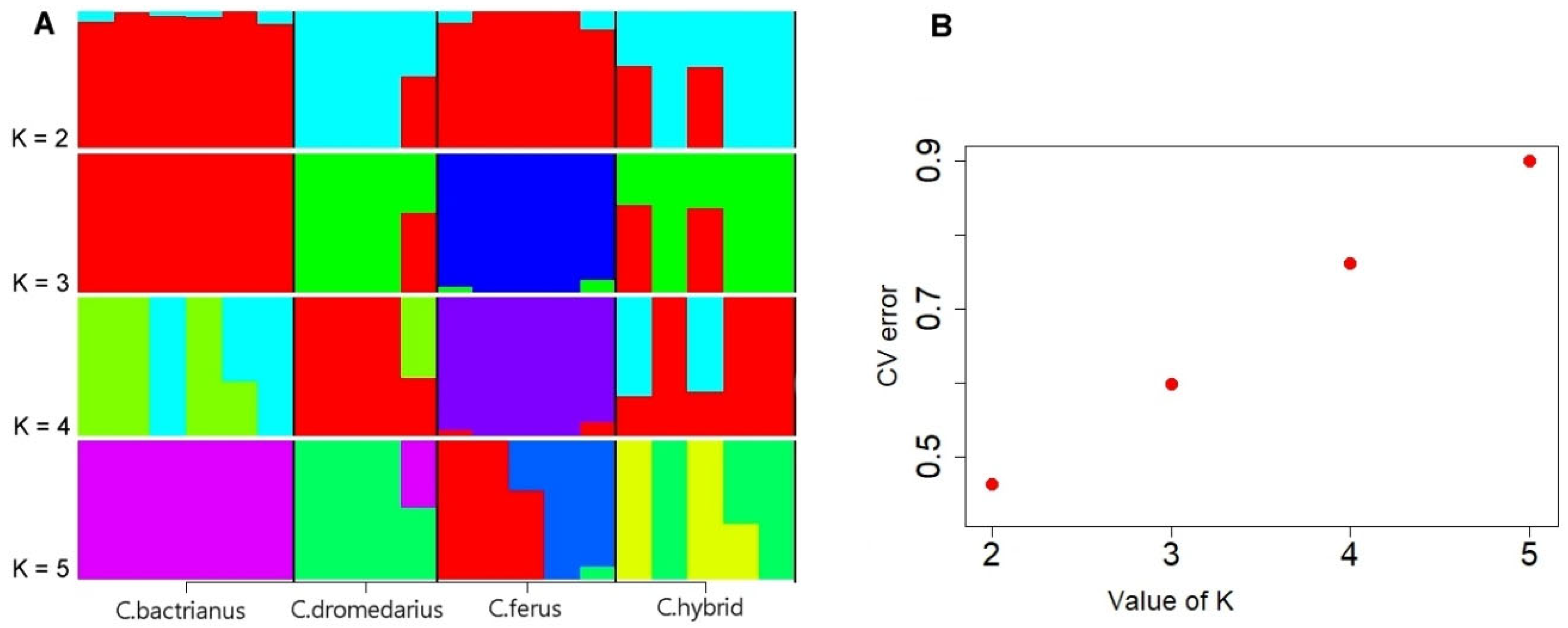 Genes 14 01373 g001 Genes 14 01373 g001