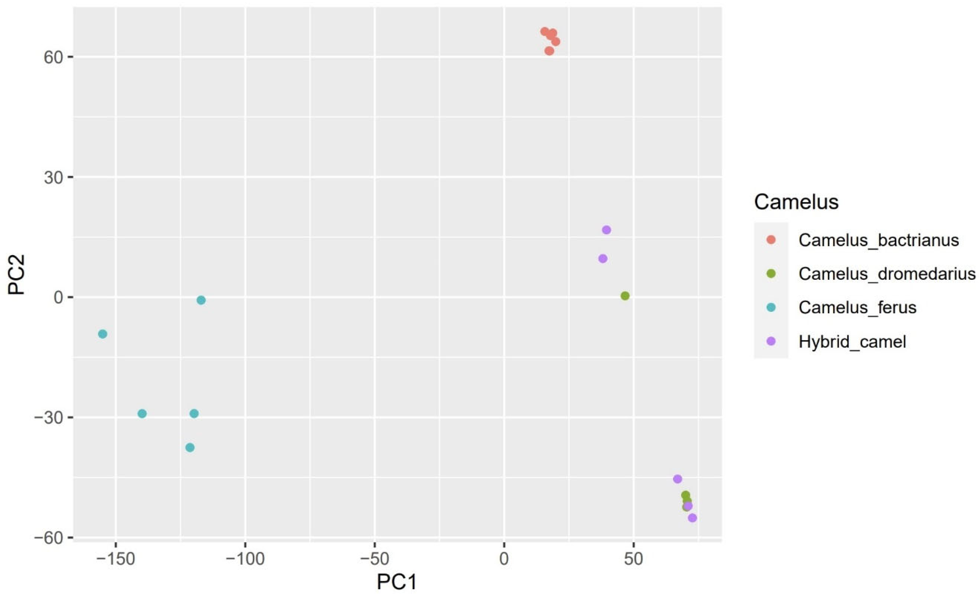 Genes 14 01373 g002 Genes 14 01373 g002