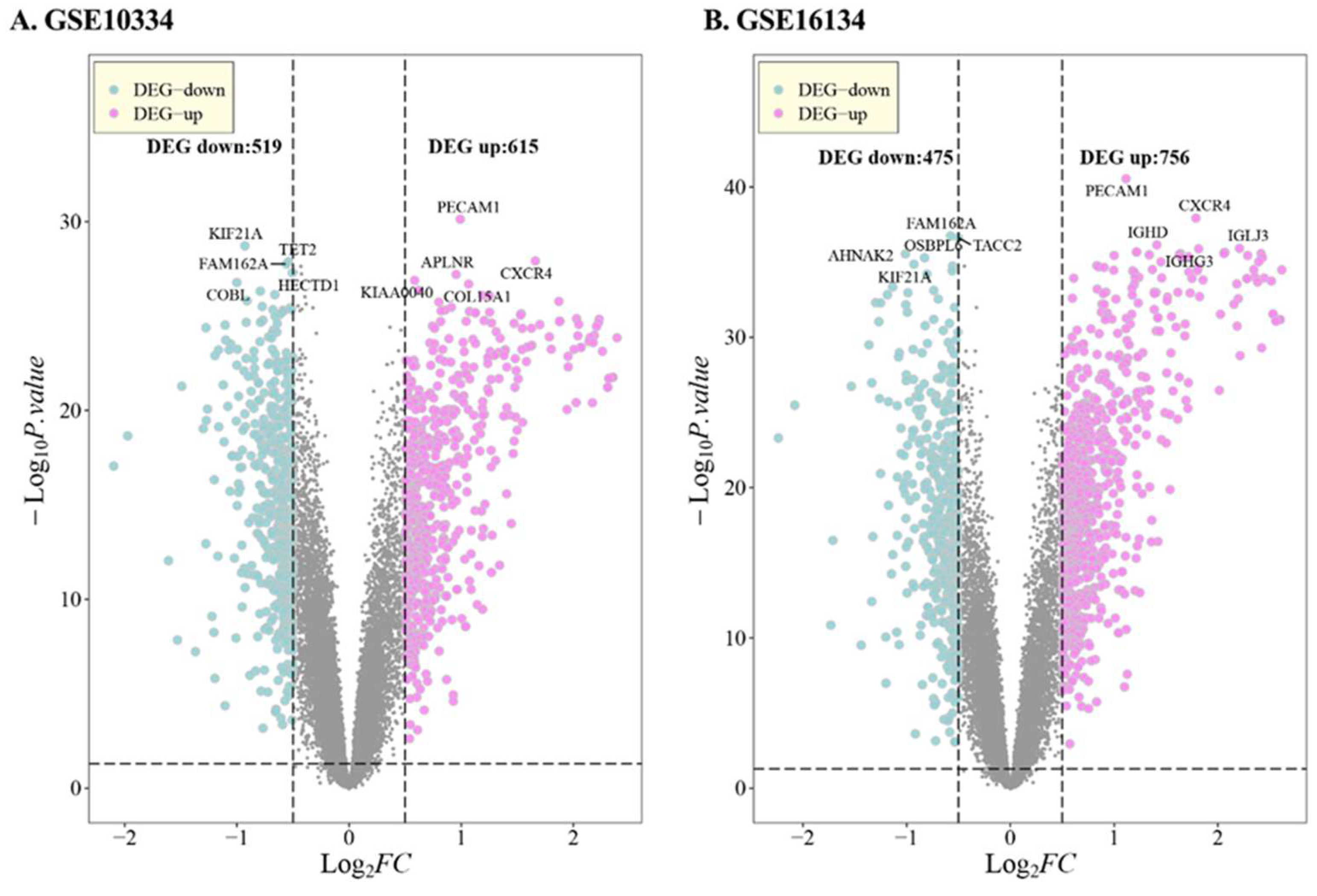 Genes 14 01374 g001a