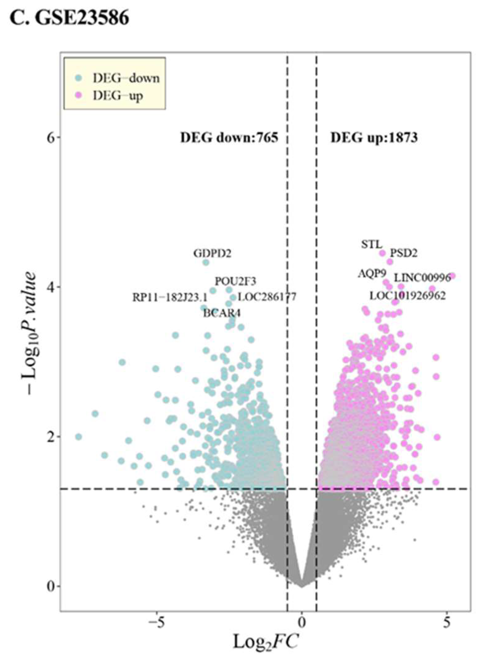 Genes 14 01374 g001b