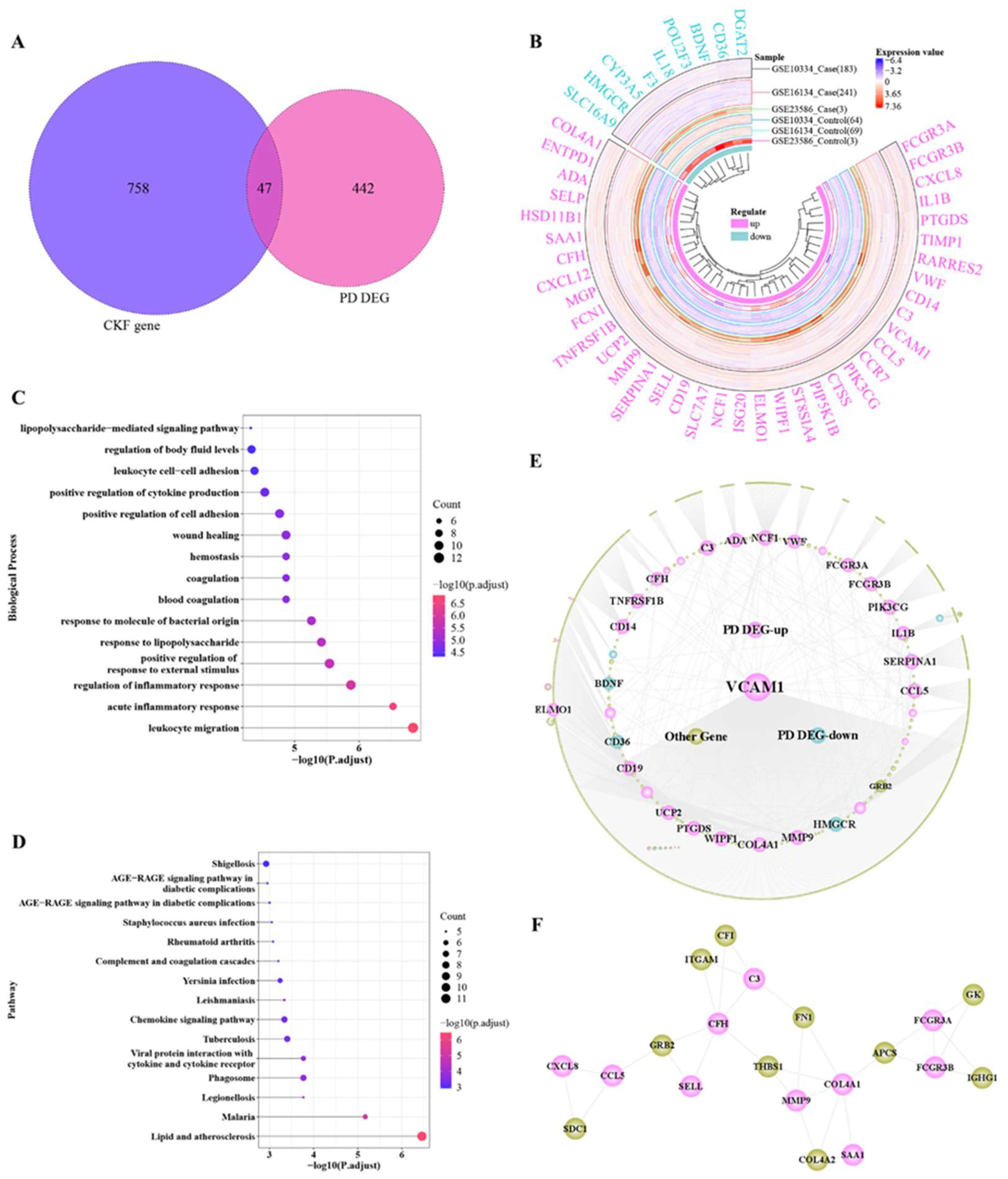 Genes 14 01374 g003