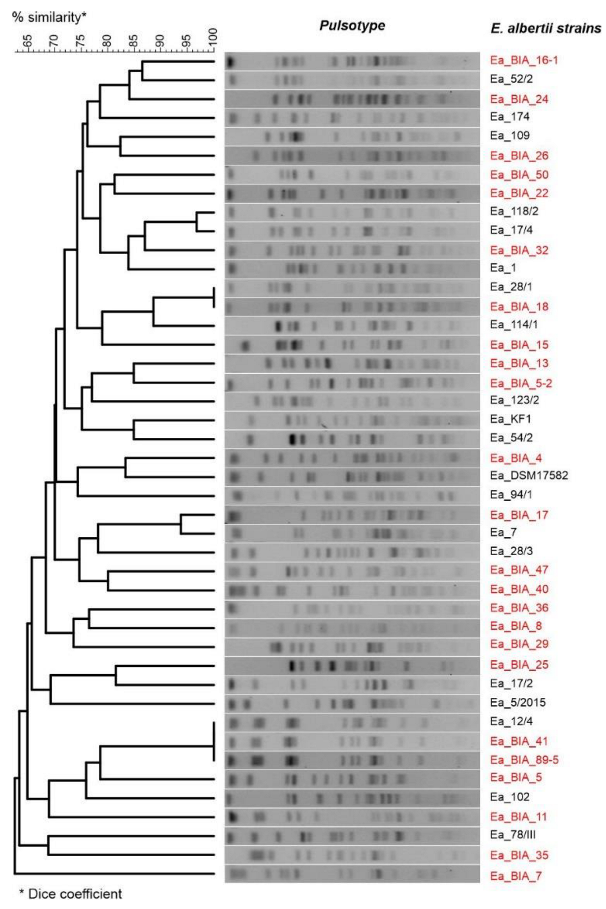 Genes 14 01384 g002