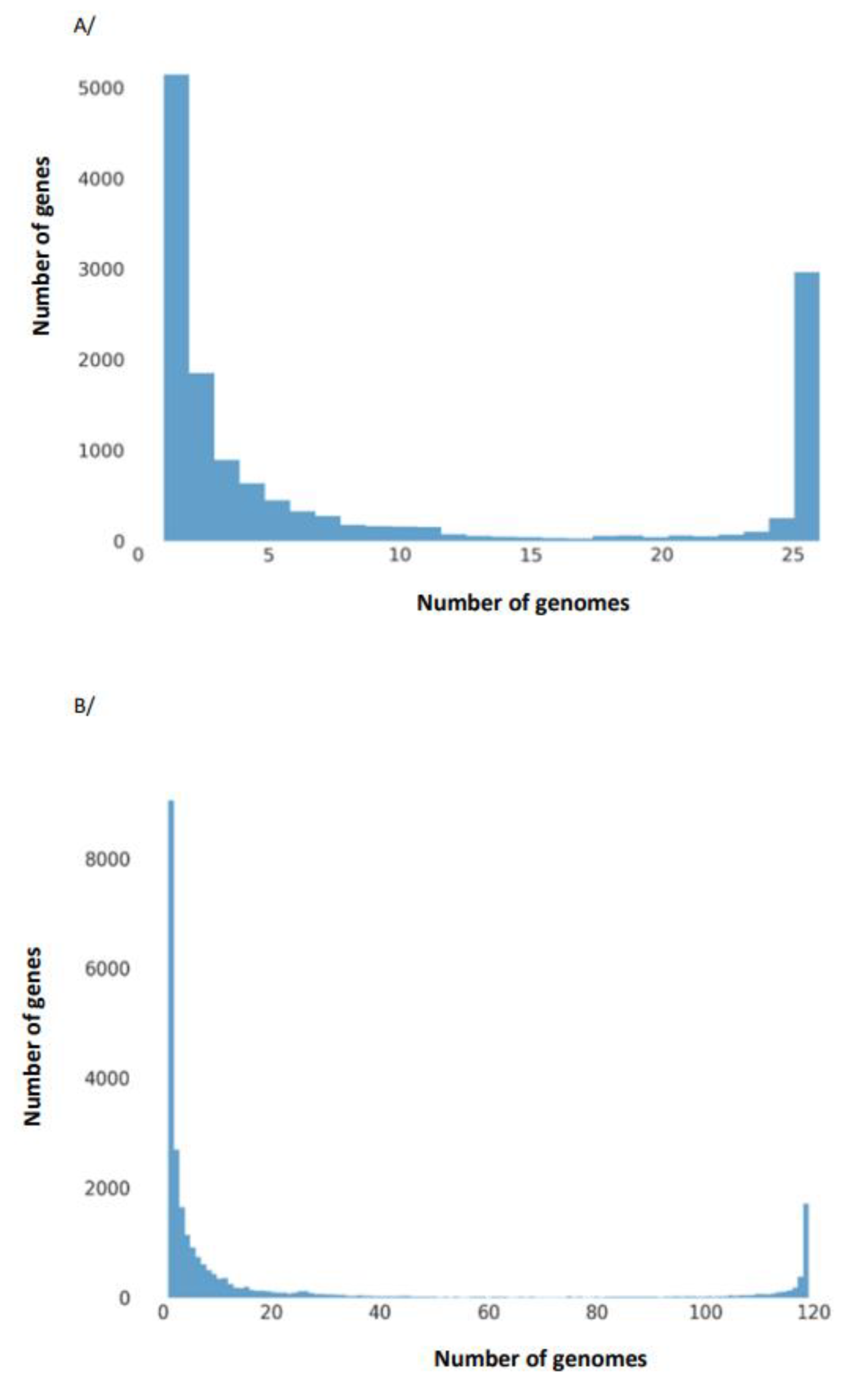 Genes 14 01384 g004