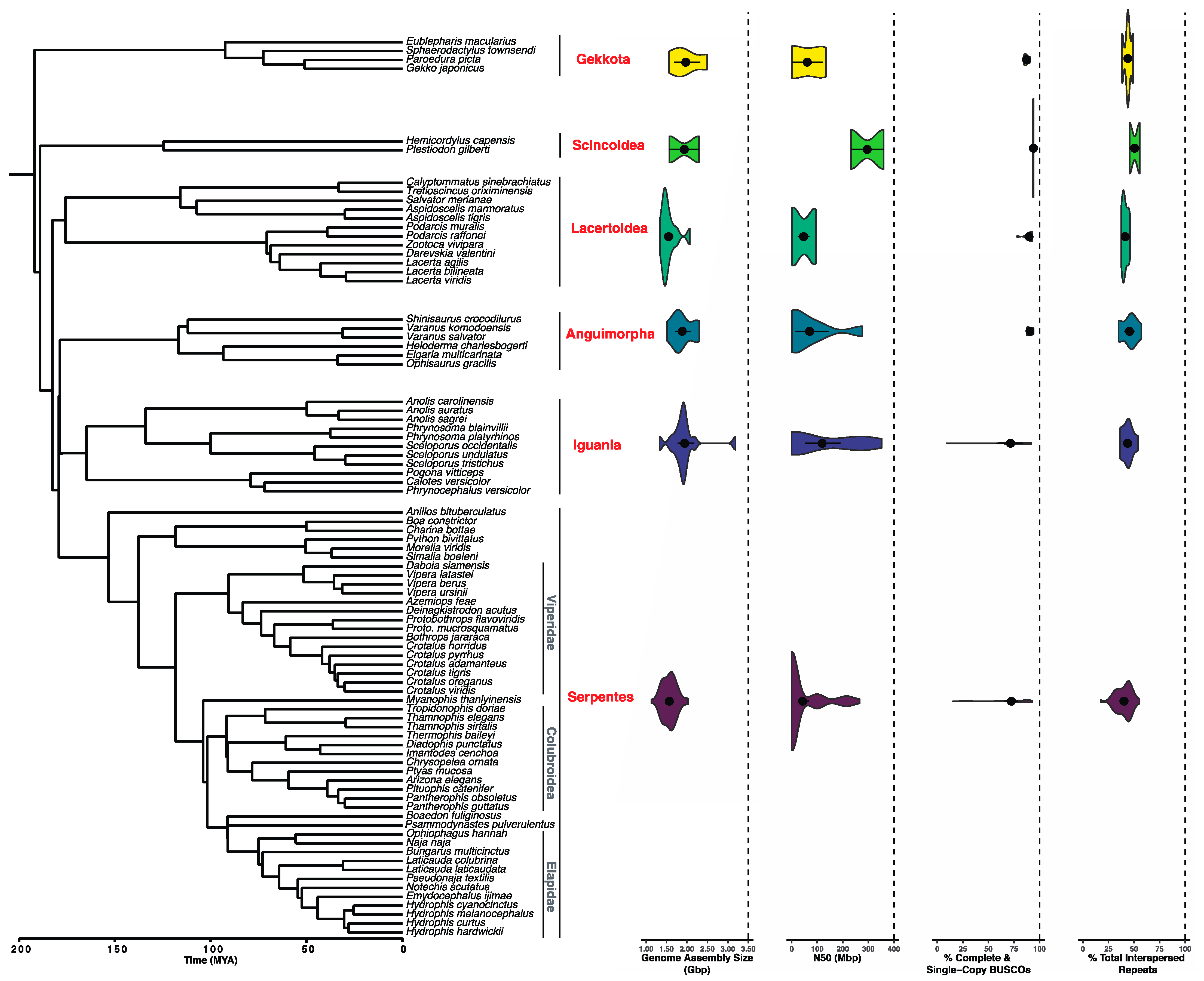 Genes 14 01387 g003