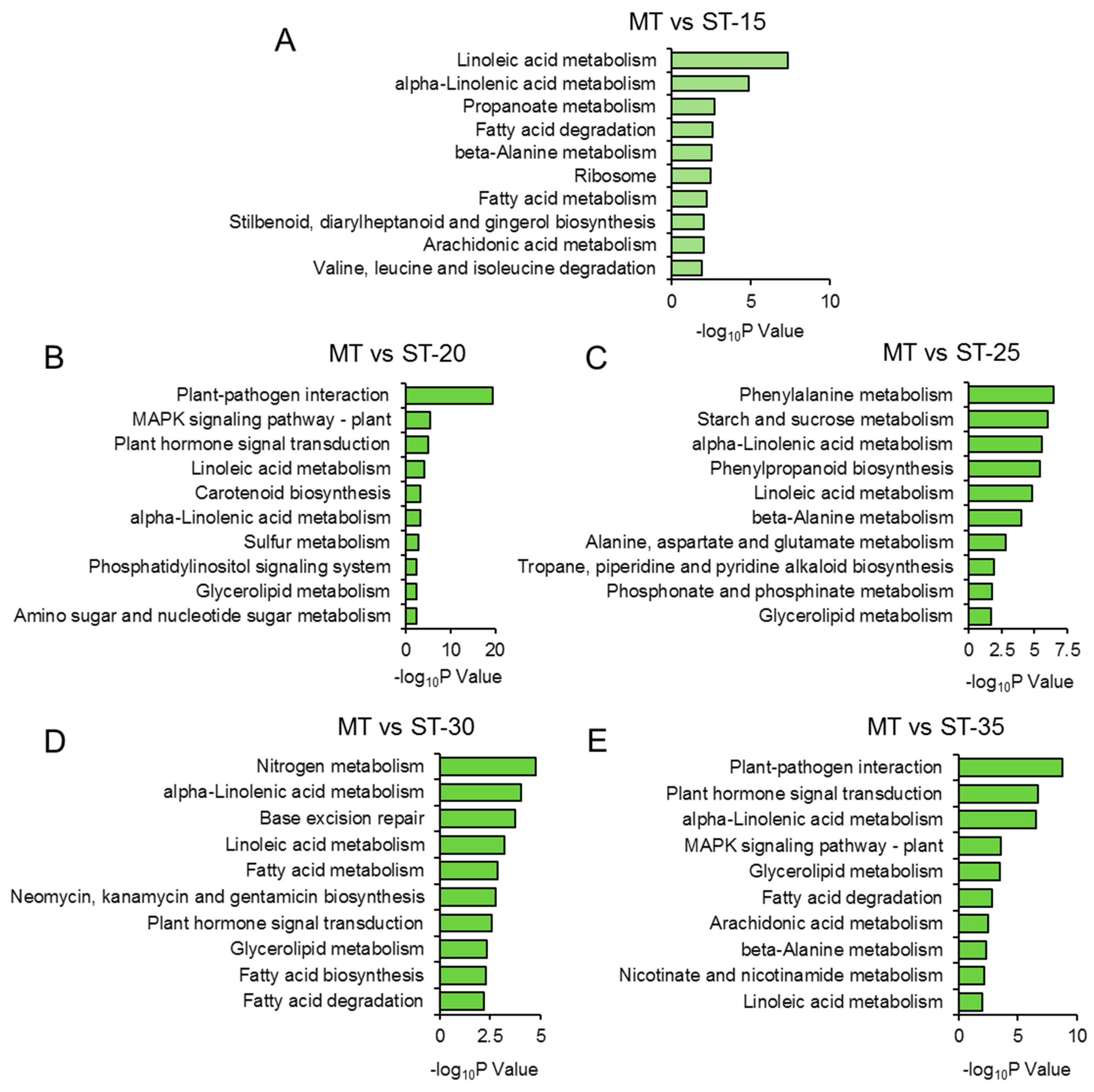Genes 14 01396 g004