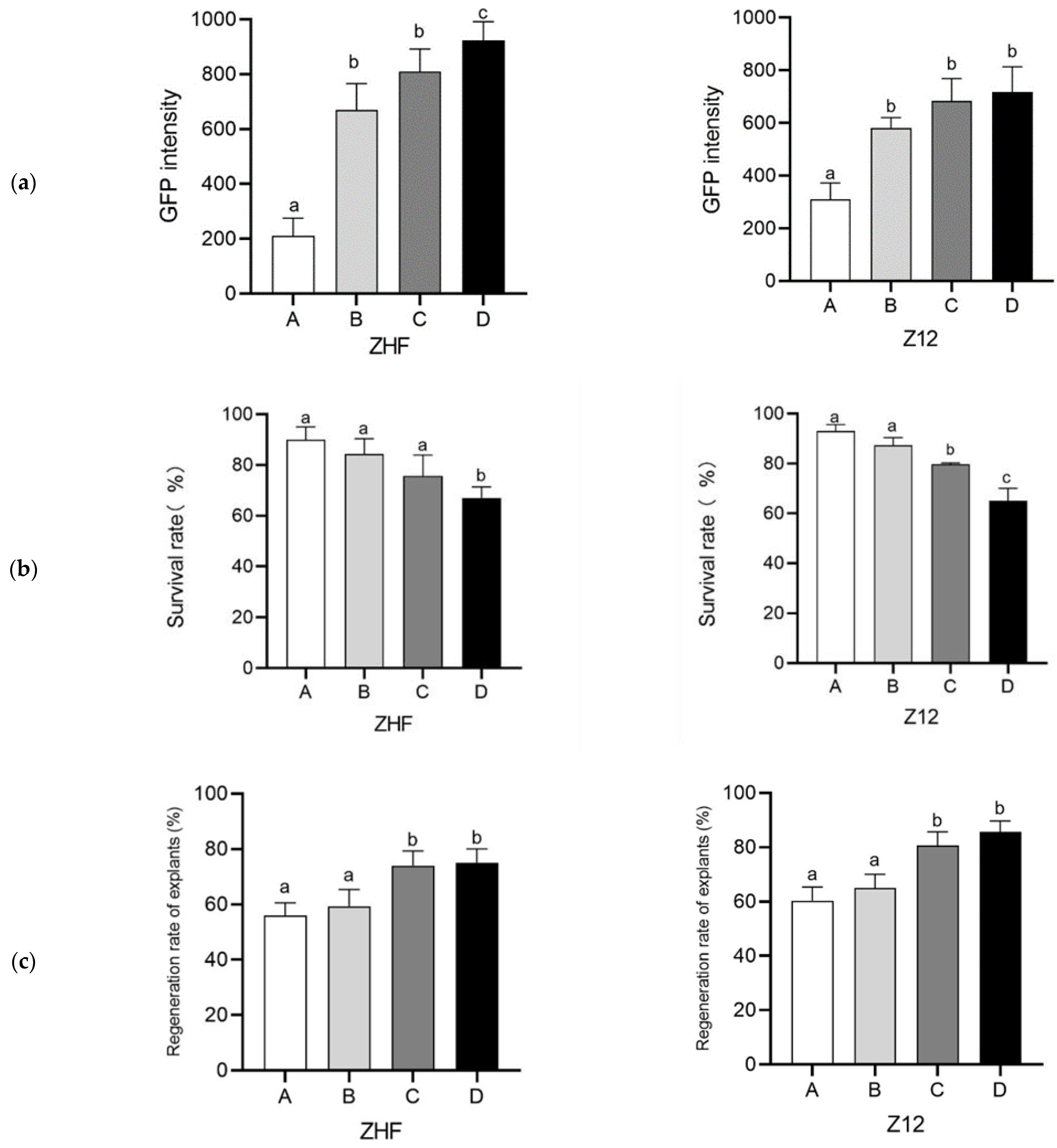 Genes 14 01432 g001a