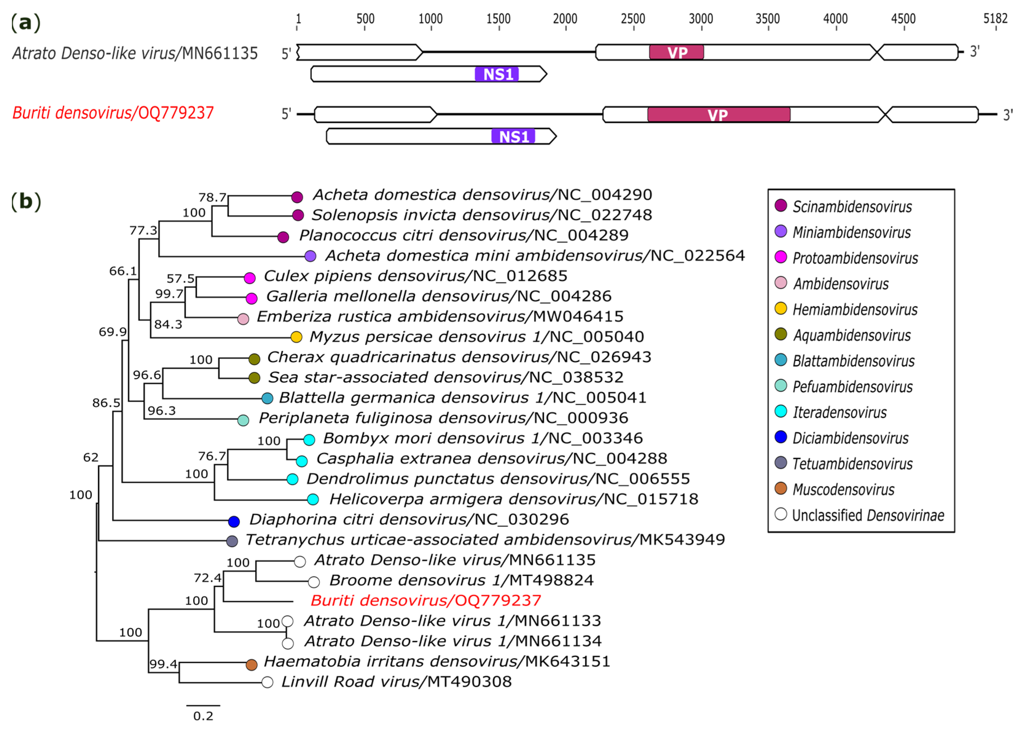 Genes 14 01443 g008