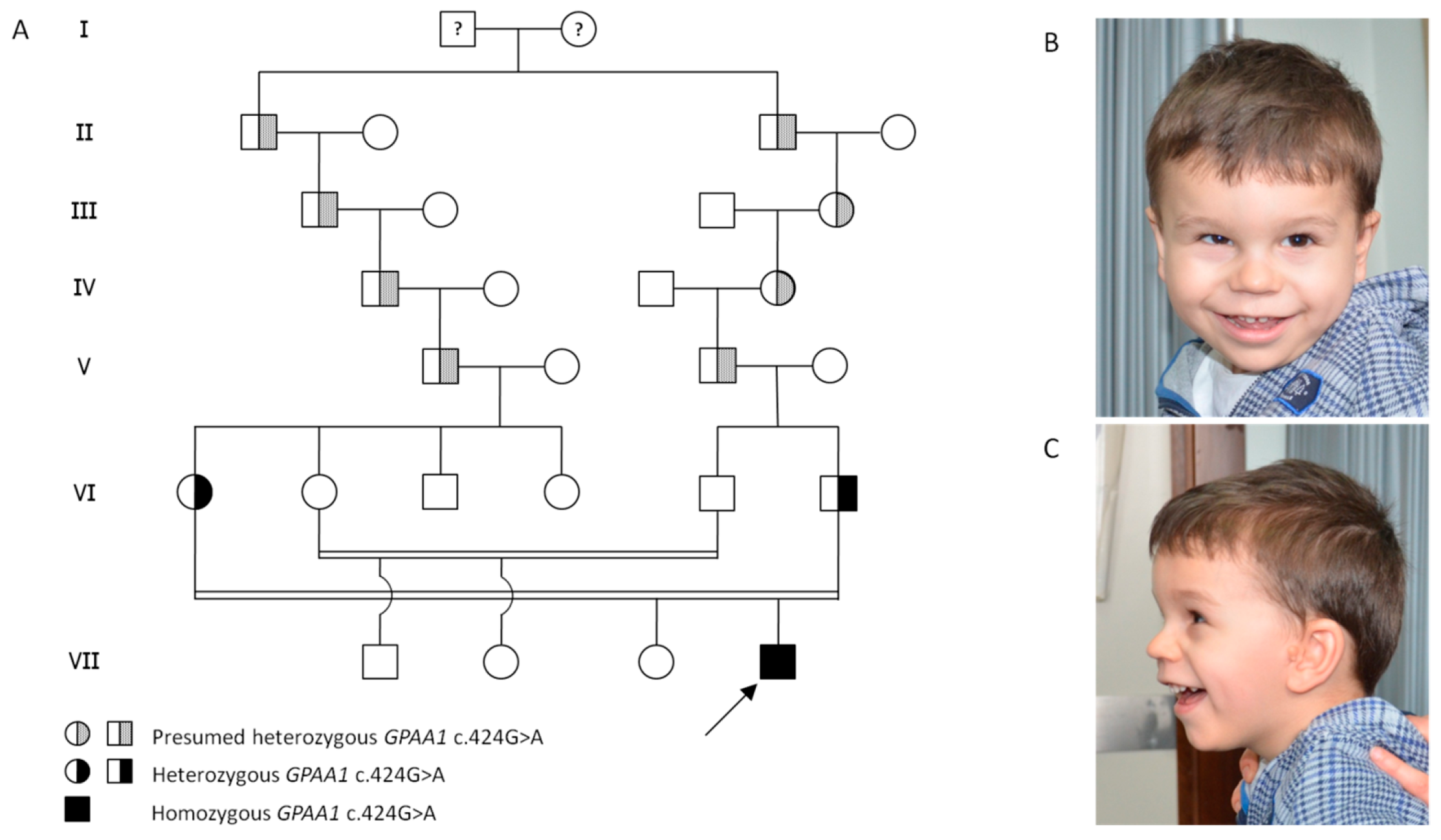 Genes 14 01444 g001 Genes 14 01444 g001