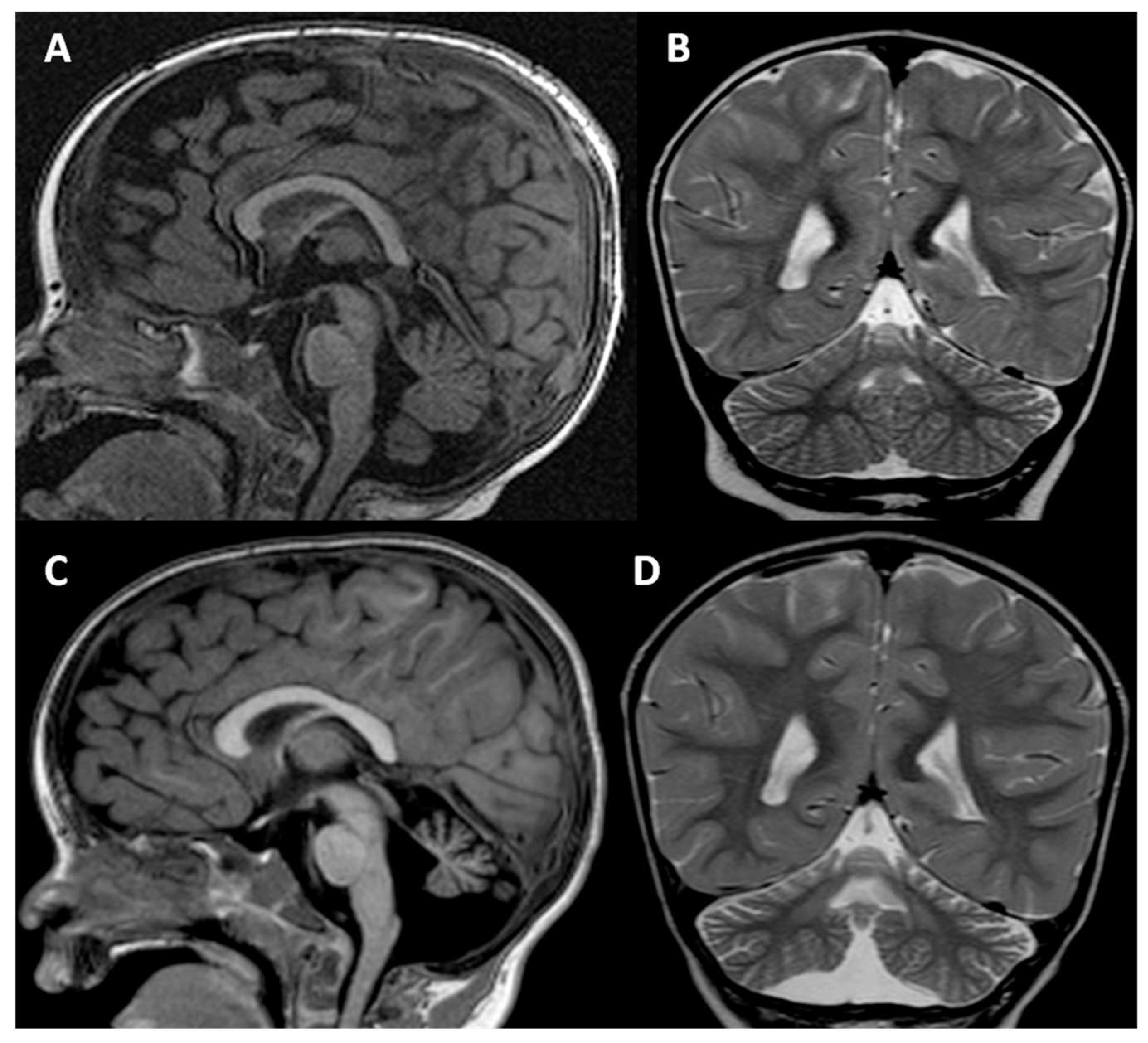 Genes 14 01444 g002 Genes 14 01444 g002