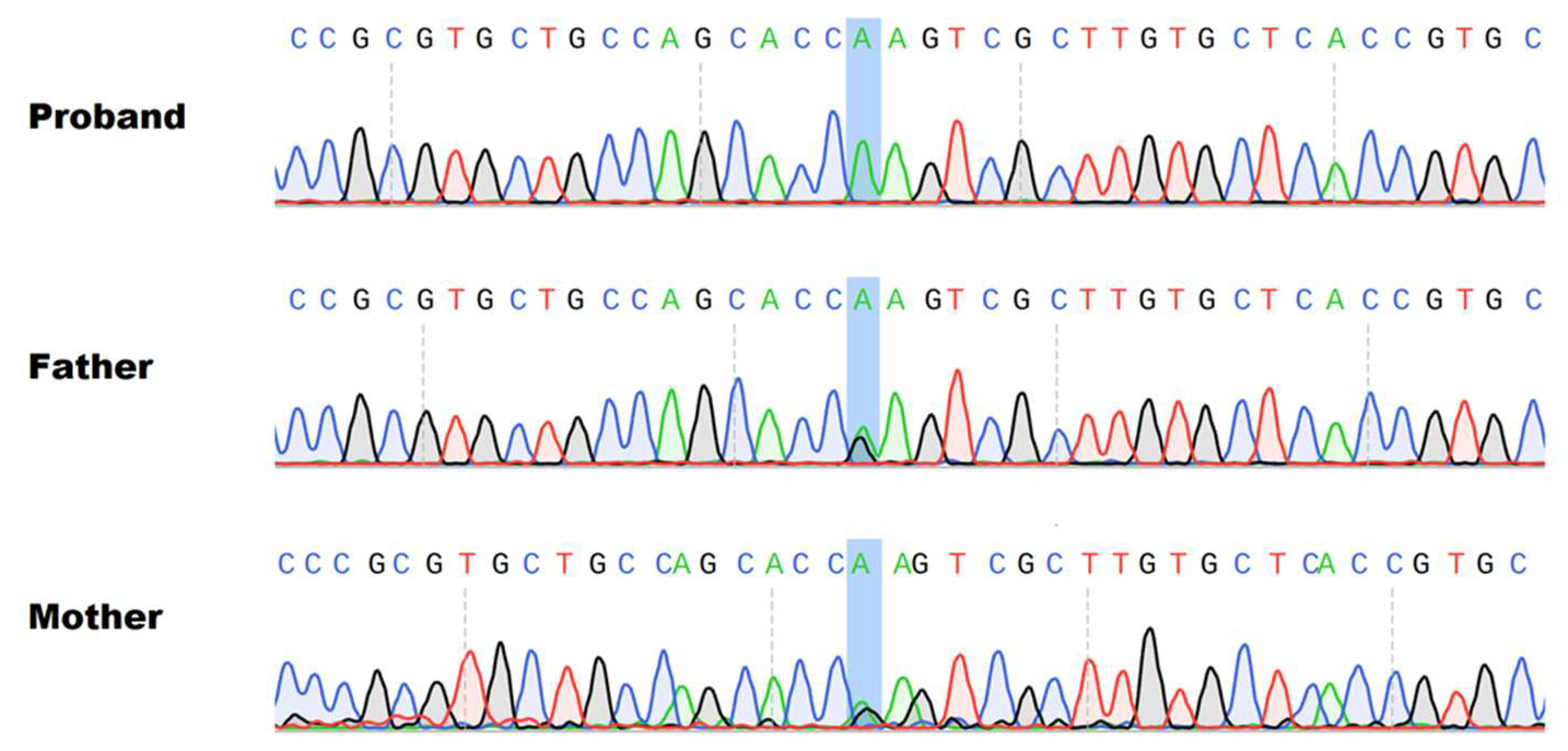 Genes 14 01444 g003 Genes 14 01444 g003