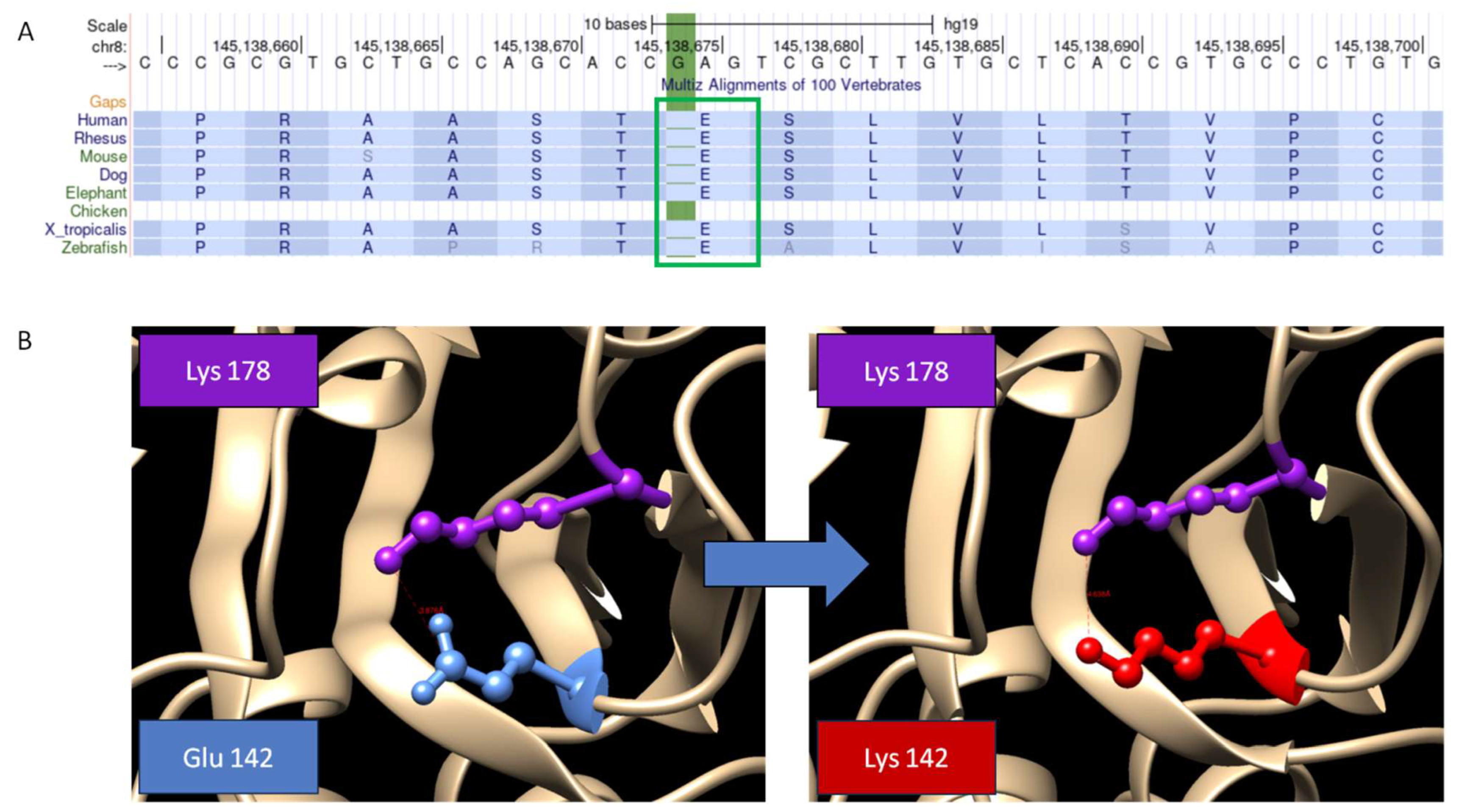 Genes 14 01444 g004 Genes 14 01444 g004