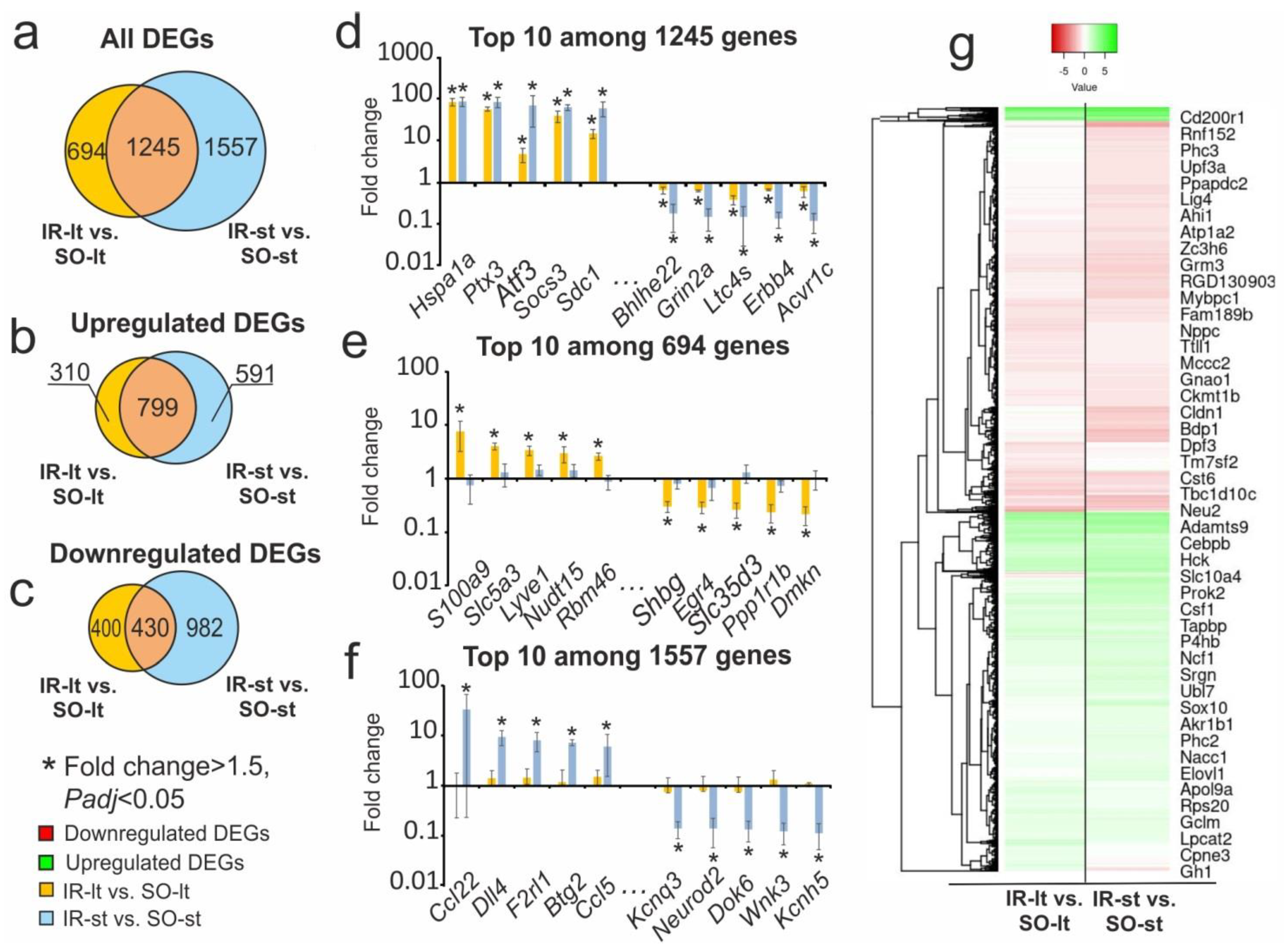 Genes 14 01448 g001