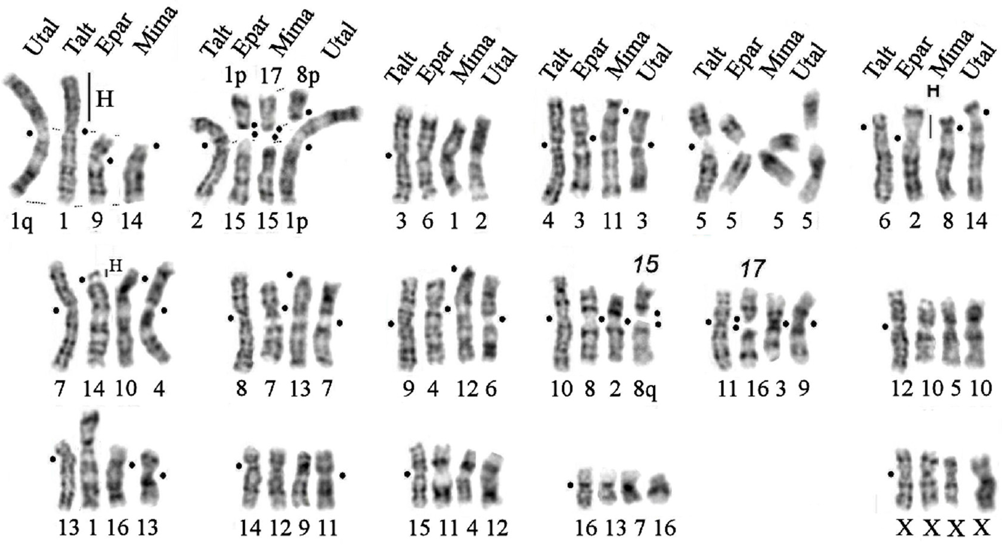 Genes 14 01472 g007