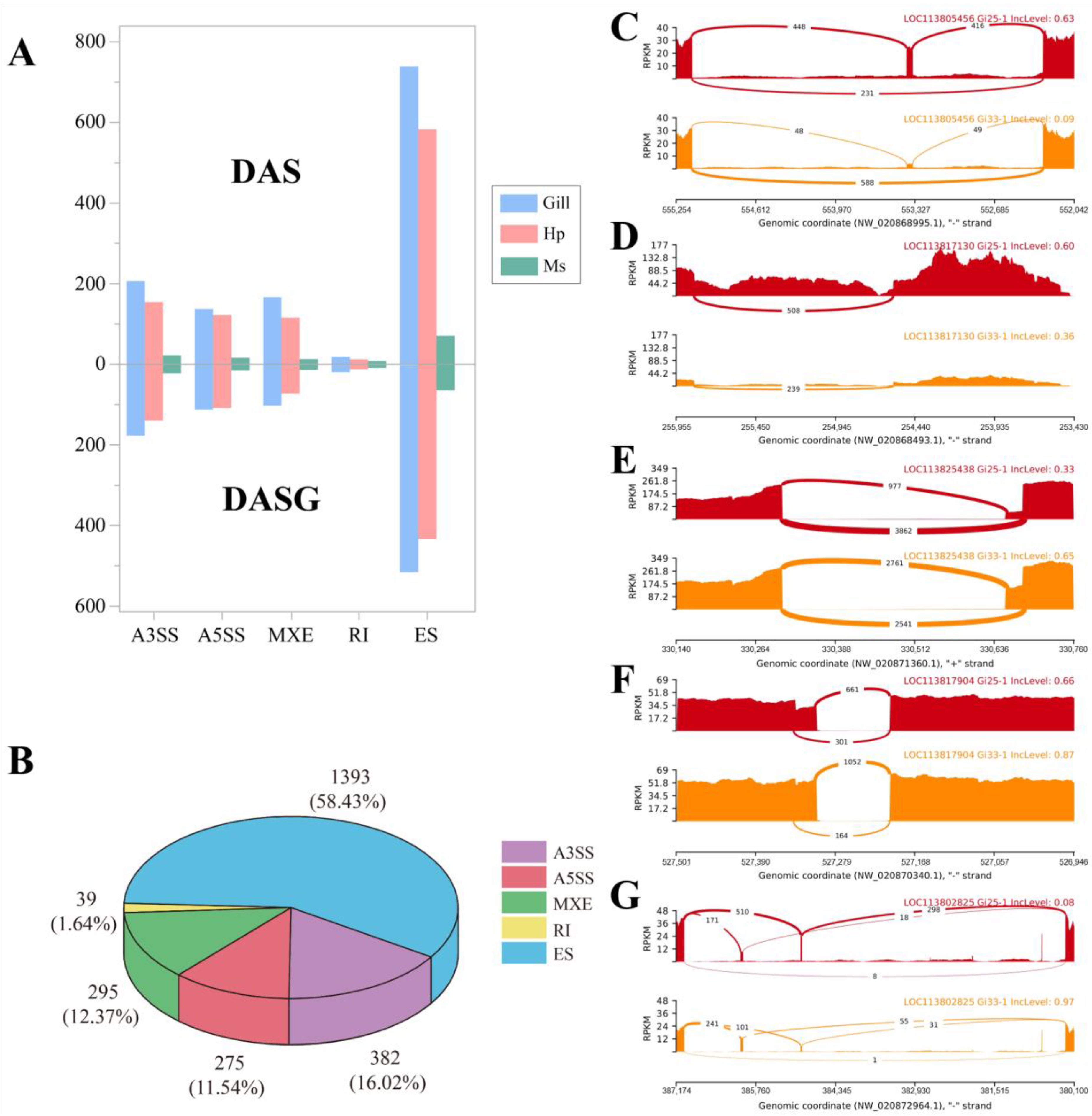 Genes 14 01473 g002 Genes 14 01473 g002