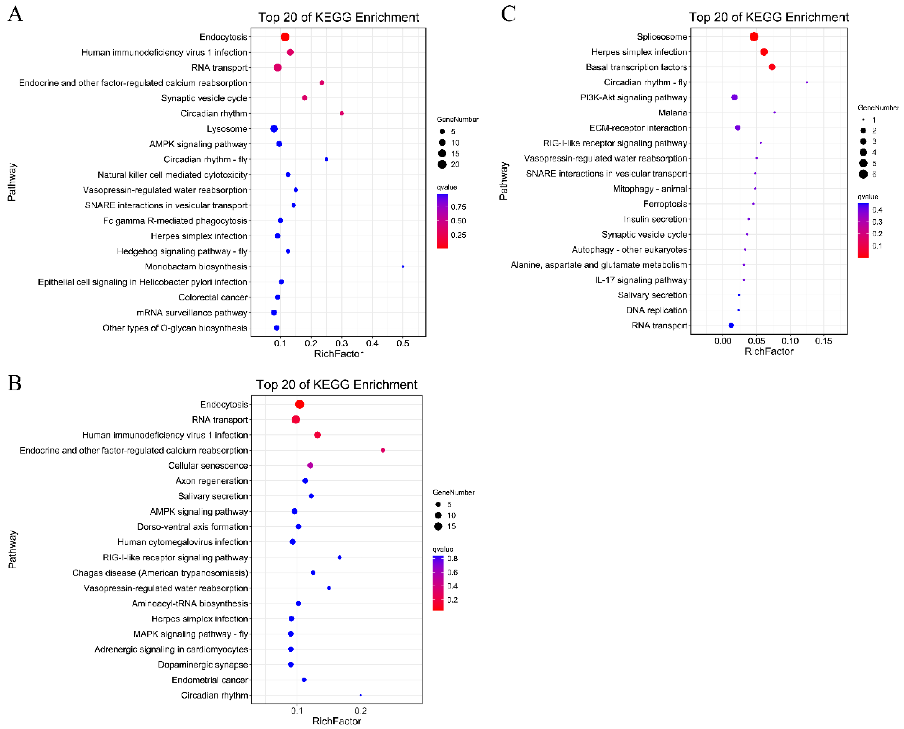 Genes 14 01473 g003 Genes 14 01473 g003