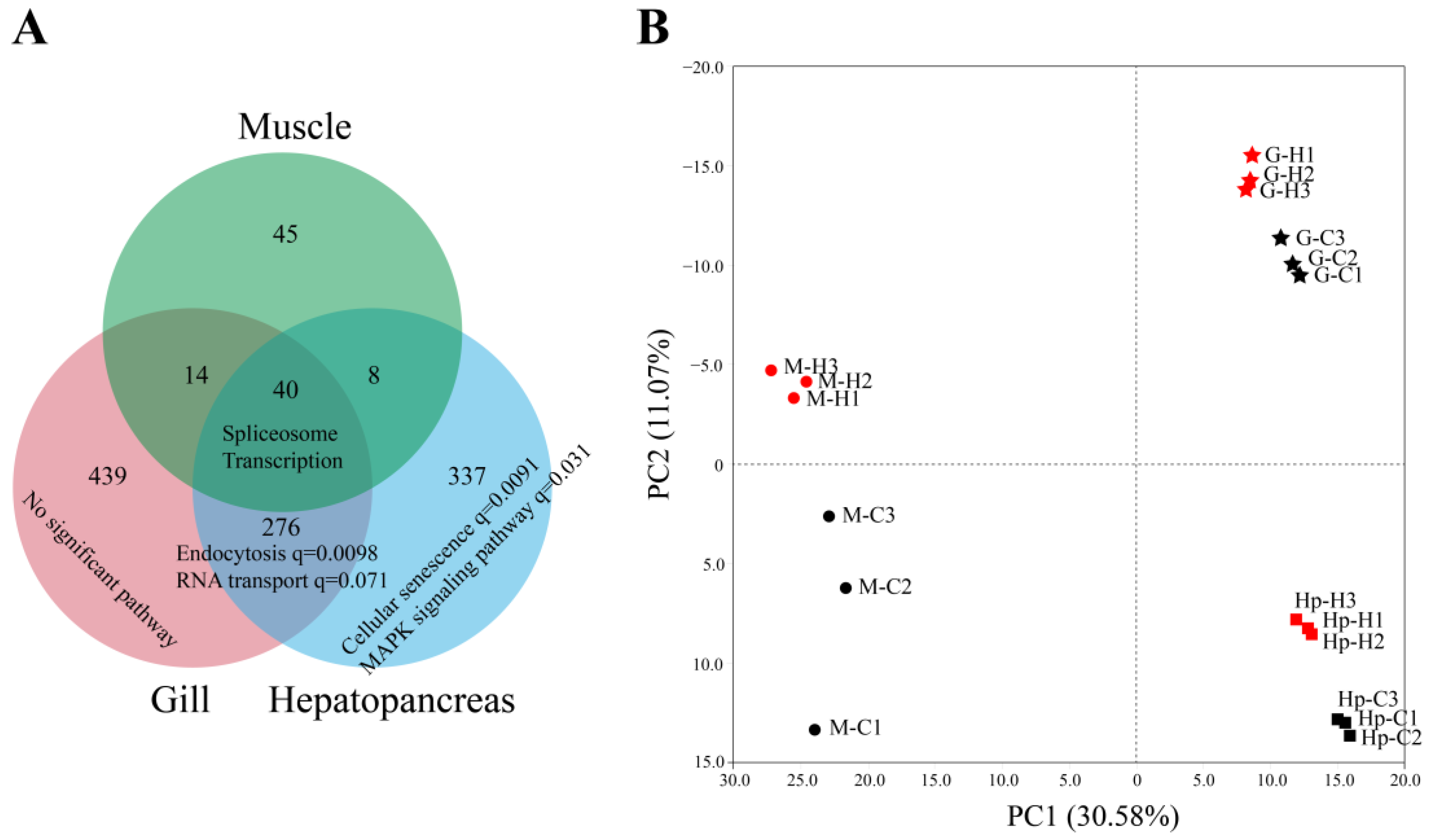 Genes 14 01473 g004 Genes 14 01473 g004
