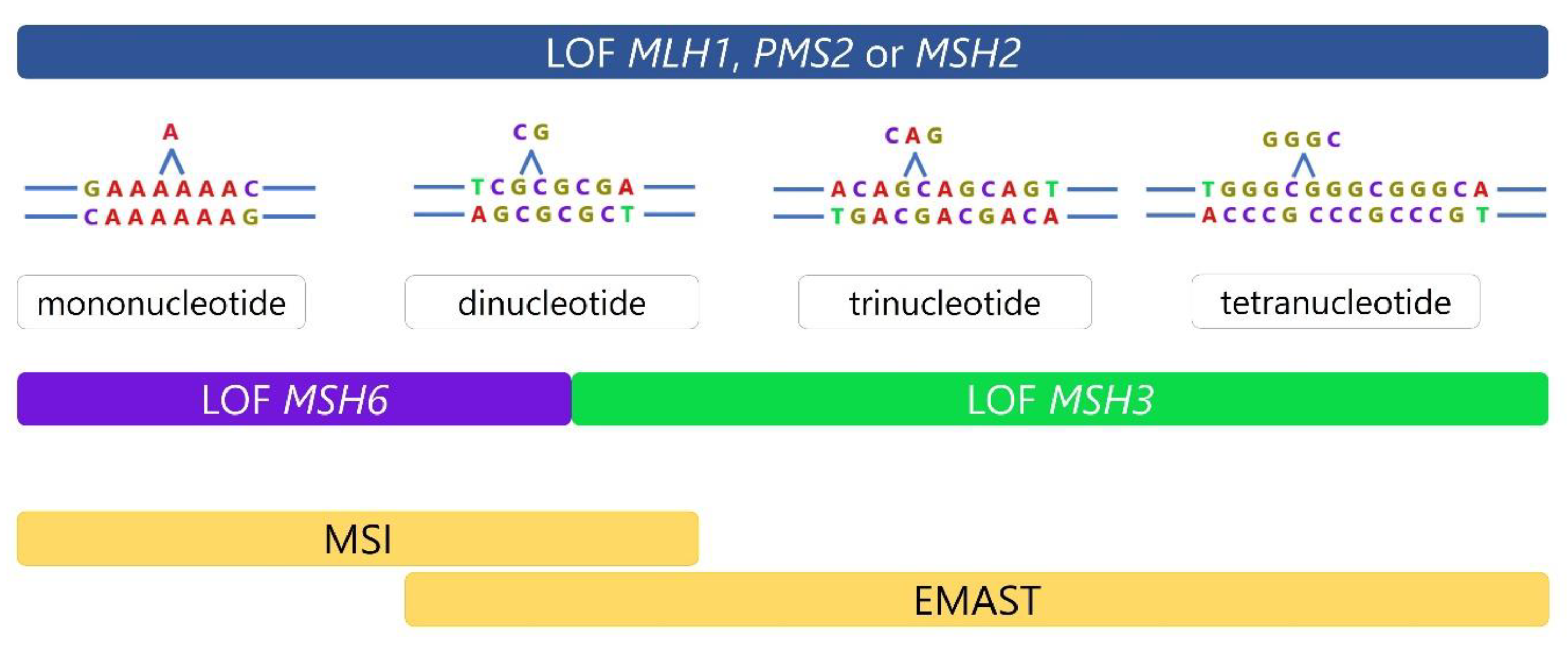 Genes 14 01474 g001